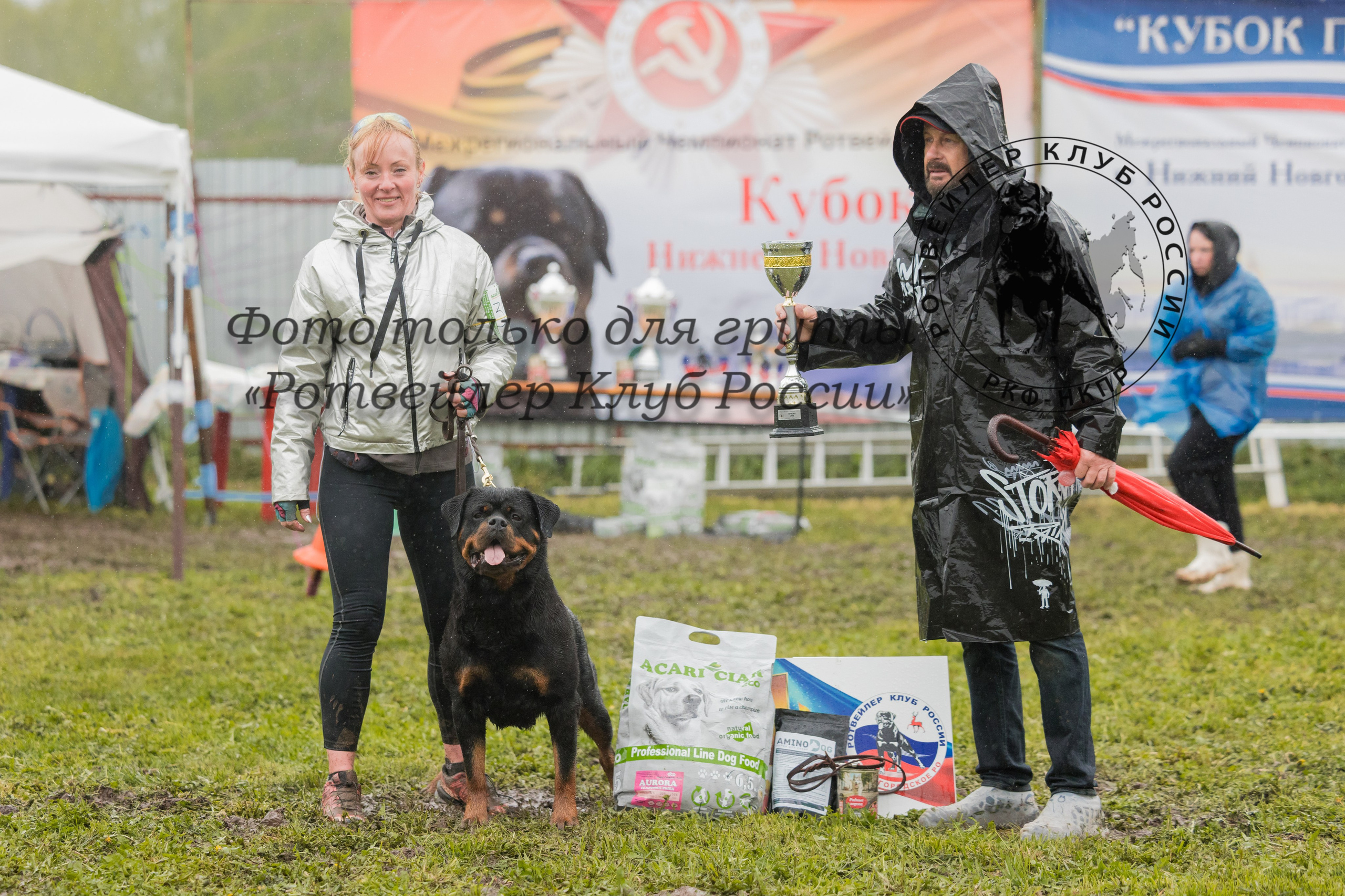 Нижний Новгород 2хмоно ротвейлеров 10-11.05.2025. Фотограф-анималист Юлия Германика