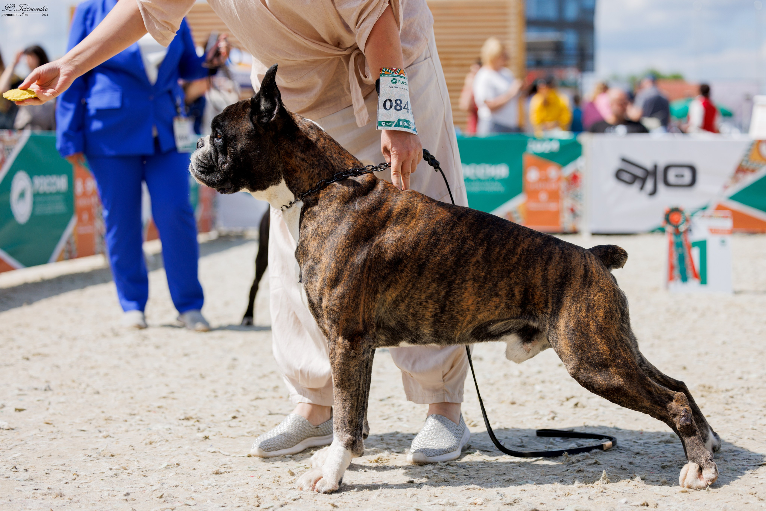 РОССИЯ 8-9.06.2024. Фотограф-анималист Юлия Германика