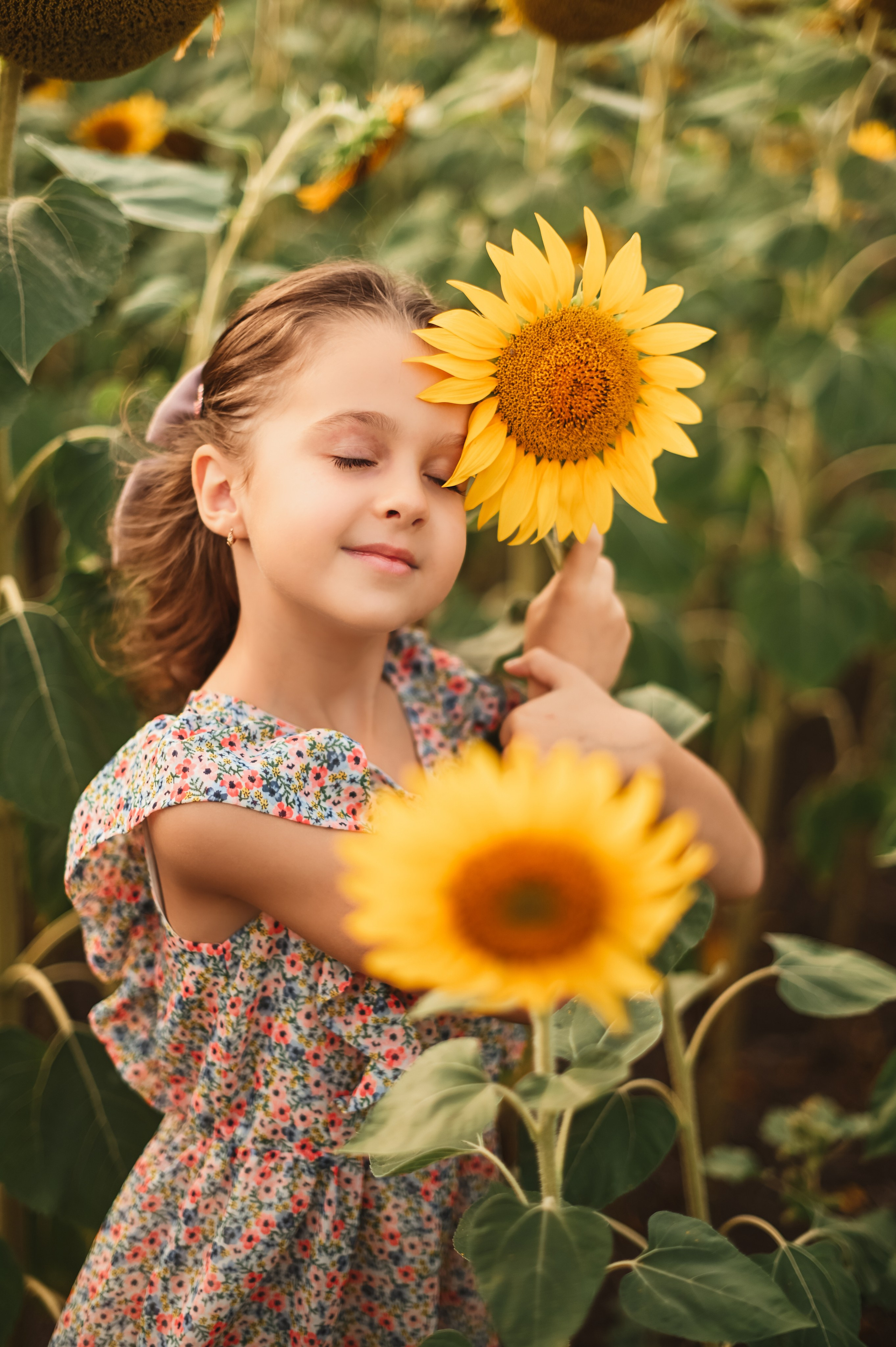 Подсолнухи Света, Даша, Миша, Александр. Фотограф Алёна Мил
