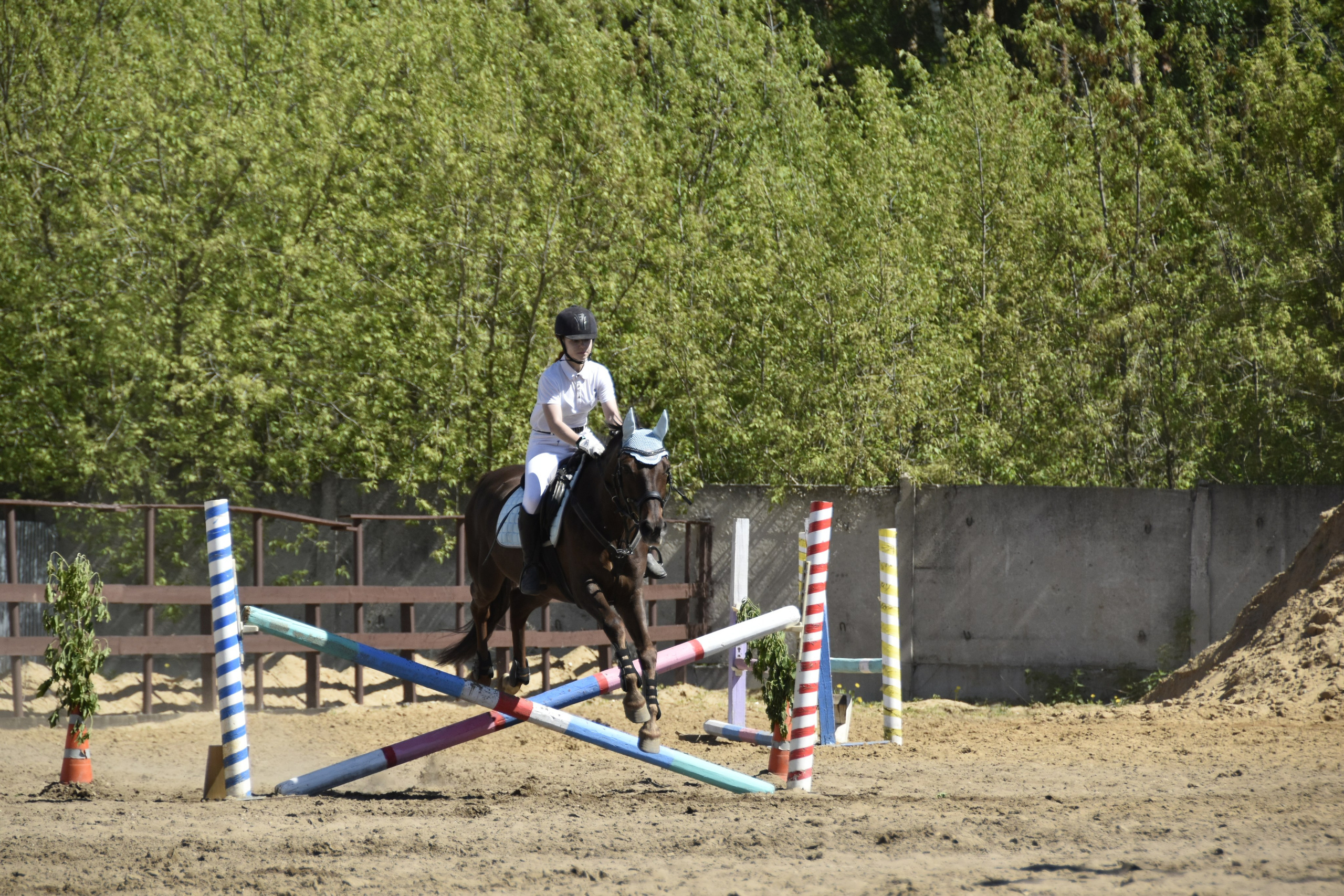 Соревнования по конкуру. КСК «Галактика». Конный фотограф Москва