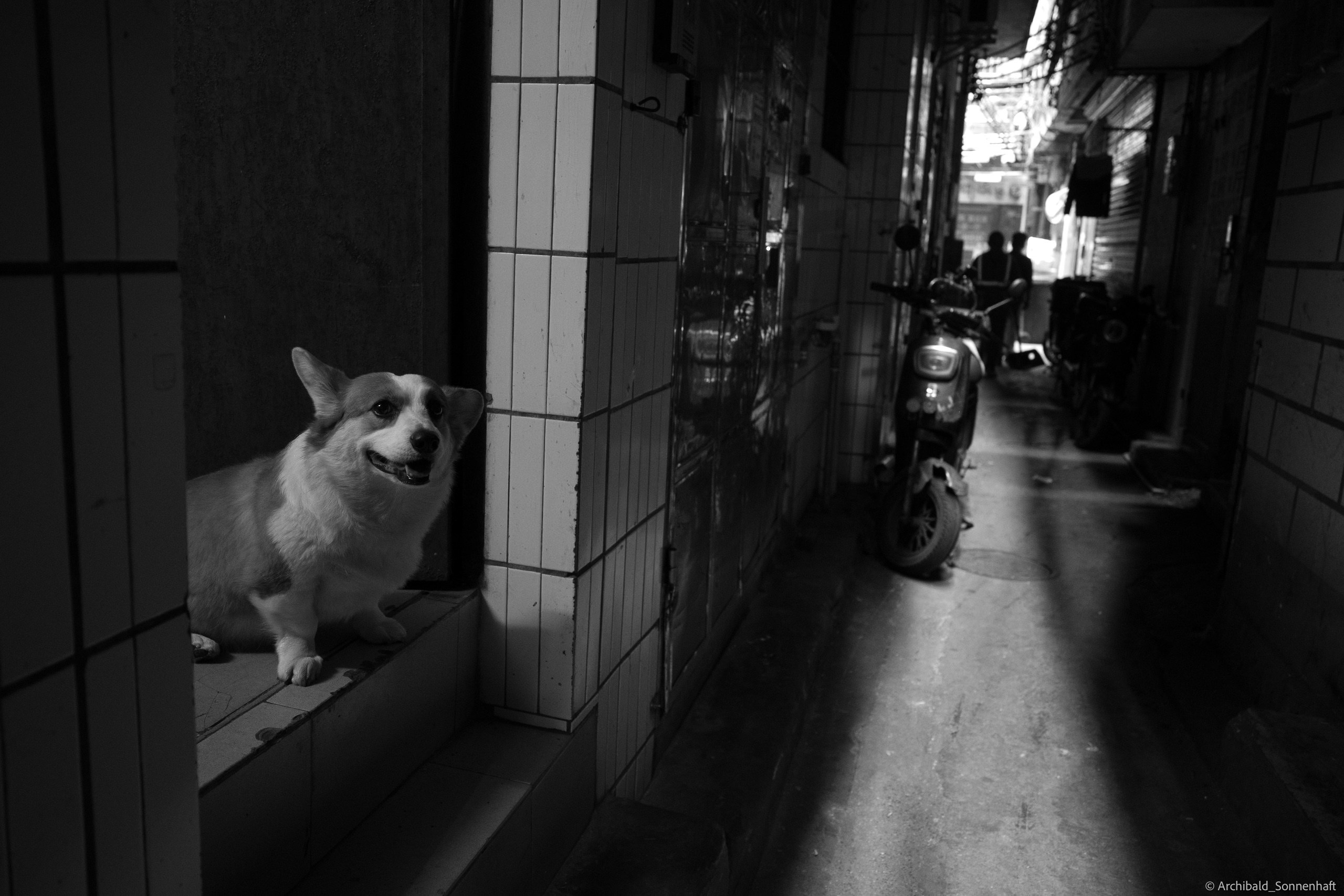 Shipai Urban Village. Photographer in Guangzhou, China. Archibald Sonnenhaft