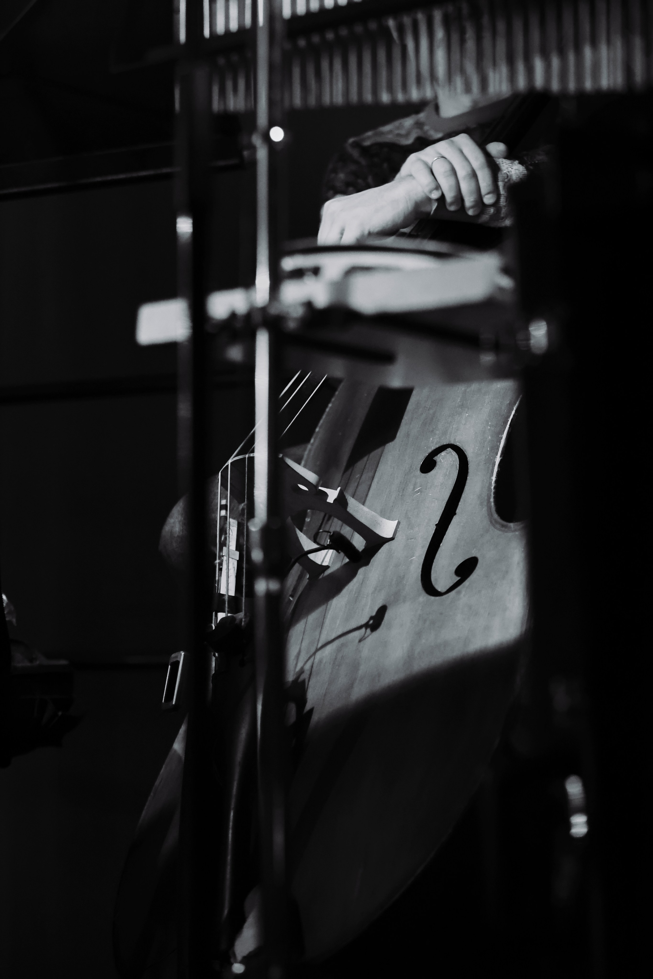 Concert. Репортажный фотограф, портретный фотограф  г. Москва