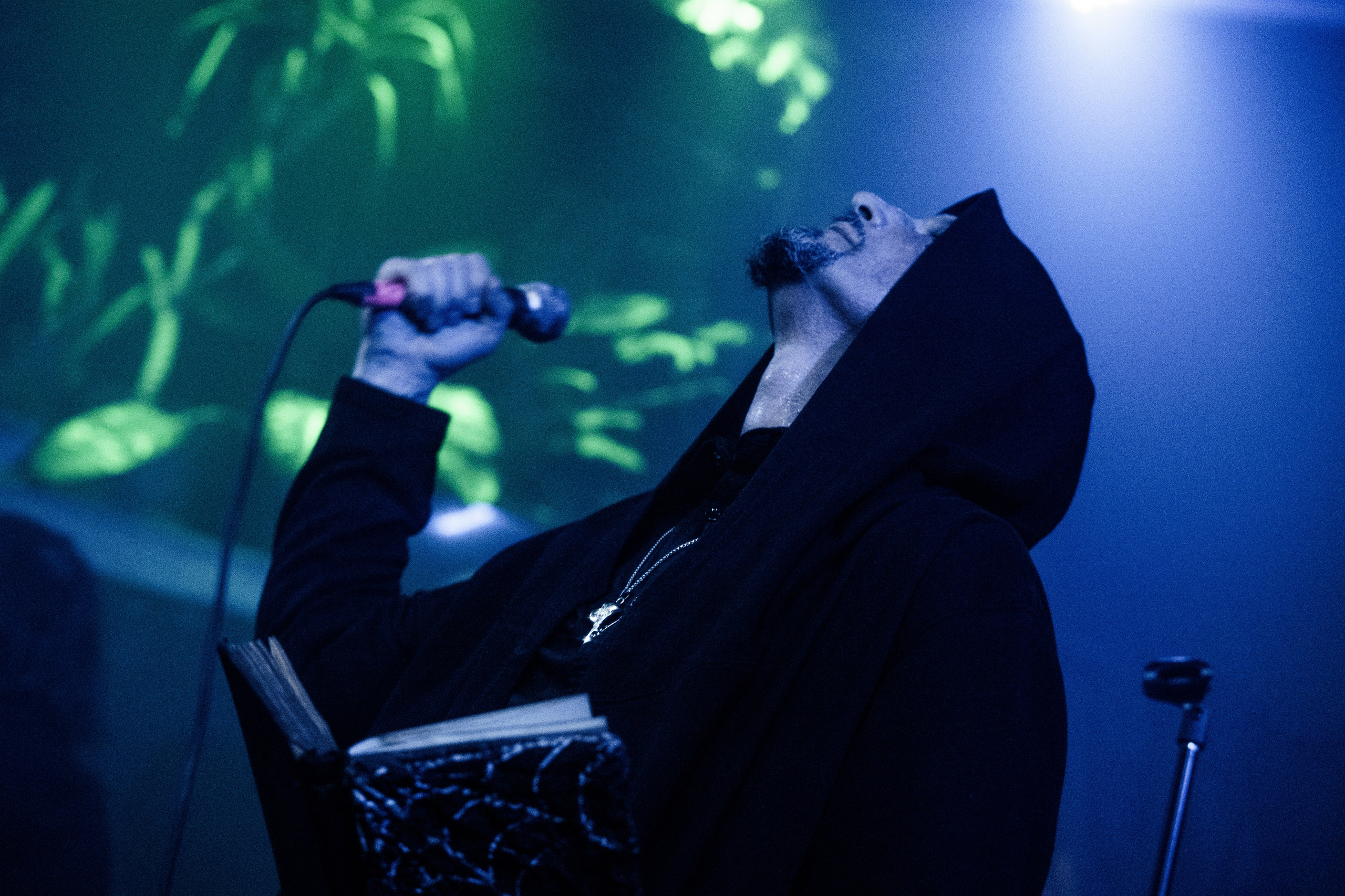 Inside the Rain|Ласточка. Концертный и репортажный фотограф в Санкт-Петербурге Слава Пахомов