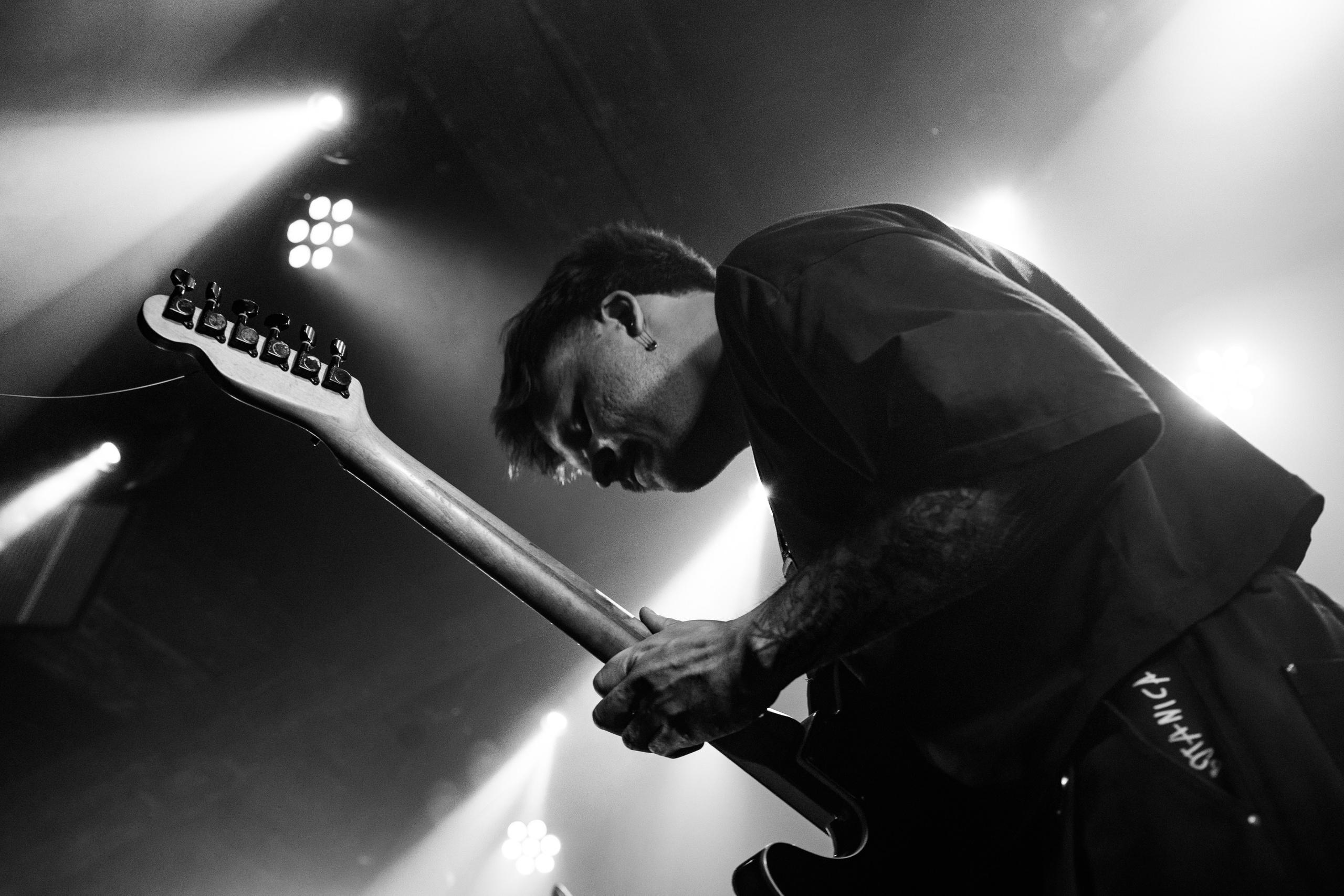 Lesnik • ШШШ • Laugar • DØRER|Zoccolo 2.0. Концертный и репортажный фотограф в Санкт-Петербурге Слава Пахомов