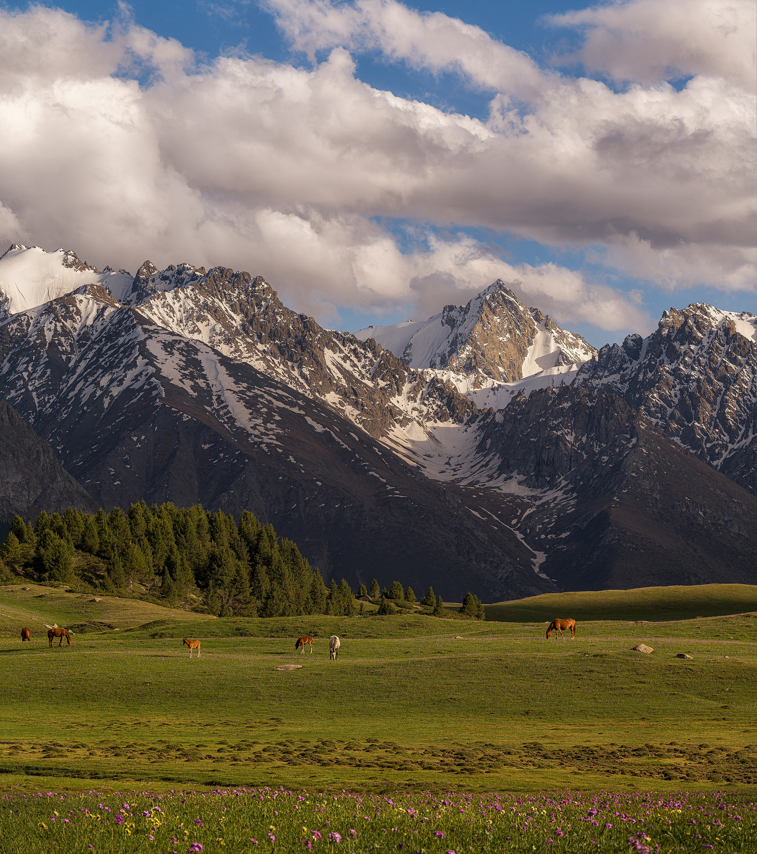 Киргизия. Портретный фотограф в Челябинске Катерина Руди
