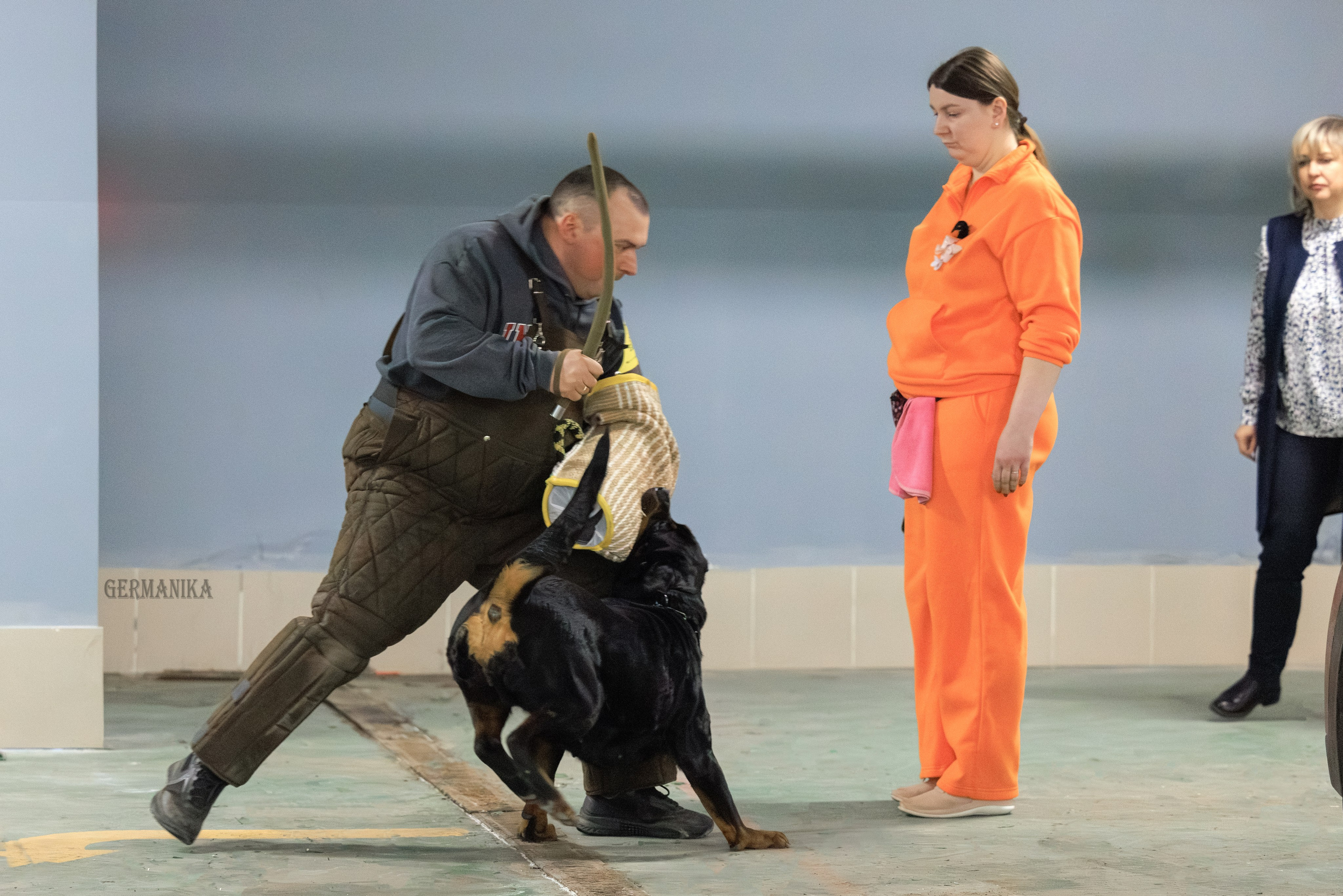 Сфера 08 и 10.03.2024 2хмоно ротвейлеров+2хмоно сао. Фотограф-анималист Юлия Германика