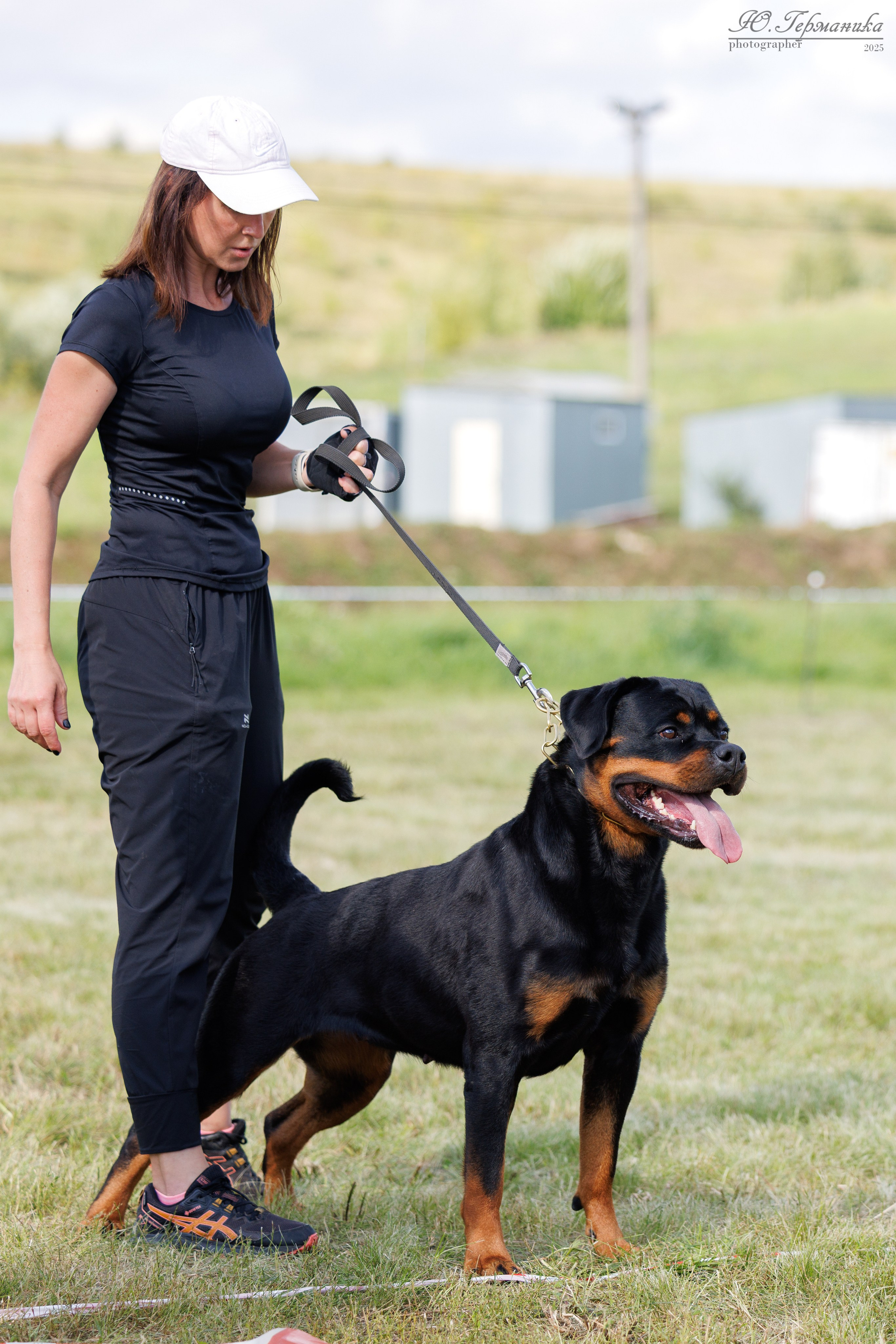 Рязань 2хмоно ротвейлеры 16-17.08.2025. Фотограф-анималист Юлия Германика