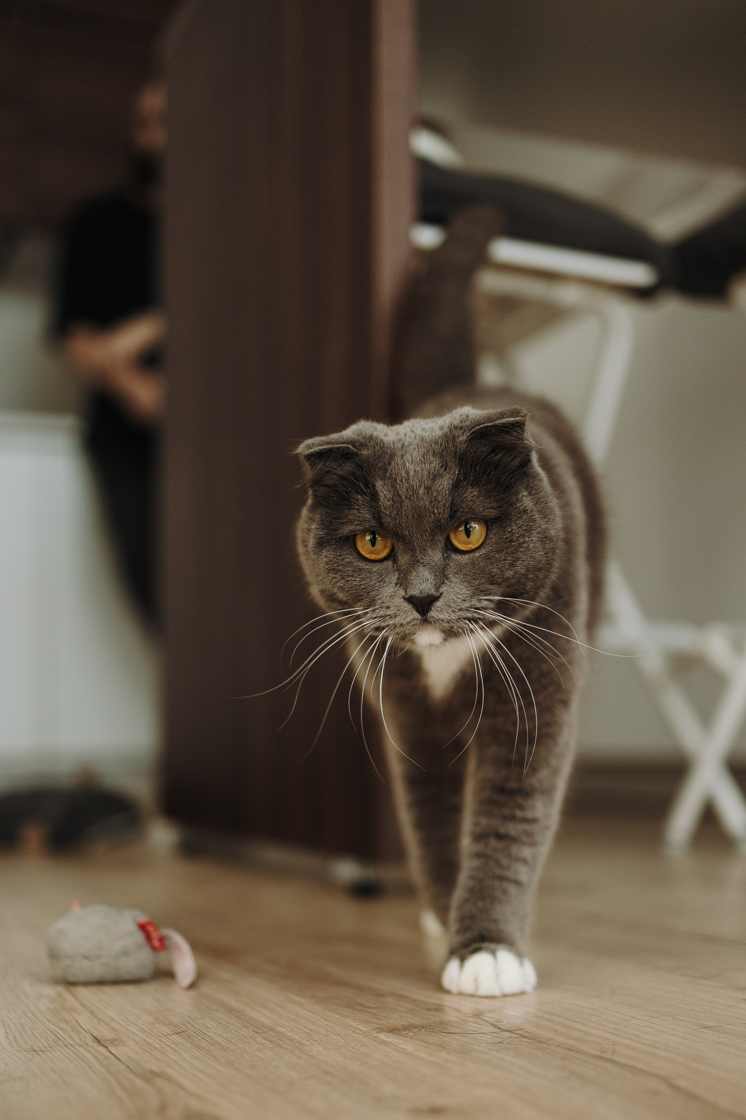 Таня и ее семья. Фотограф — Анималист | Санкт-Петербург