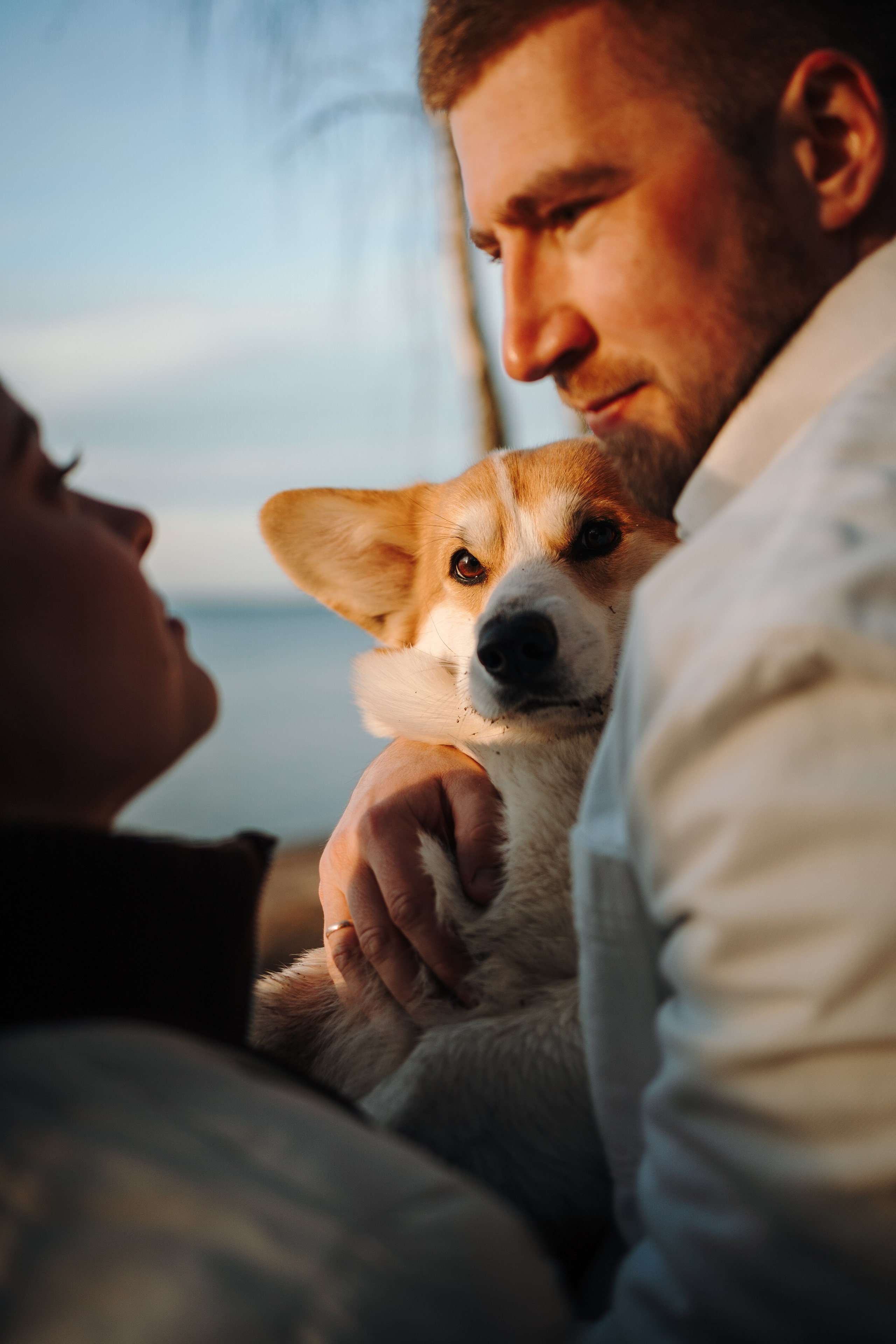 Найт и его семья. Фотограф — Анималист | Санкт-Петербург