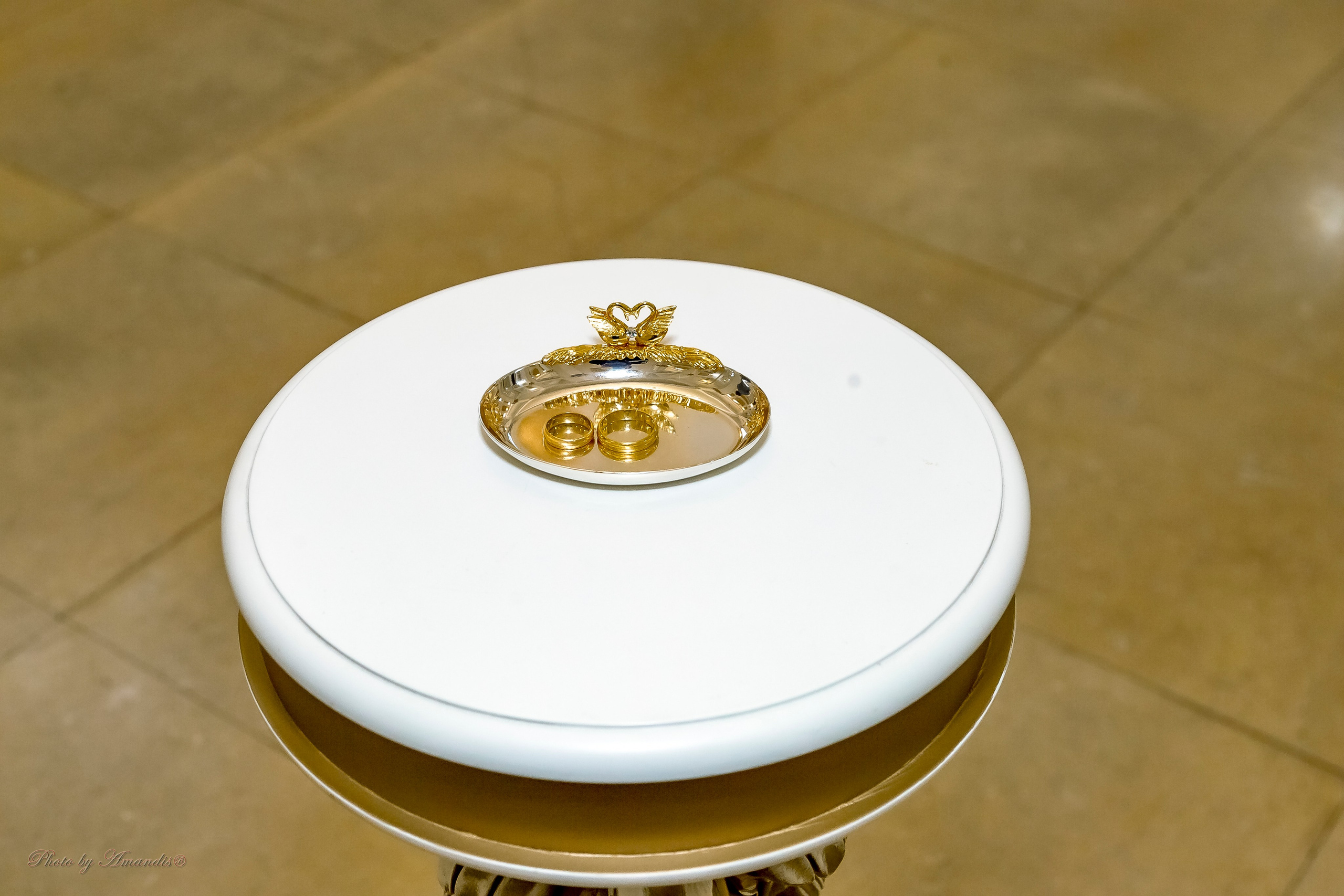 Свадьба Эдгара и Ангелины (Раменское, октябрь 2025). Репортажная съемка в Москве и области. Анималистика