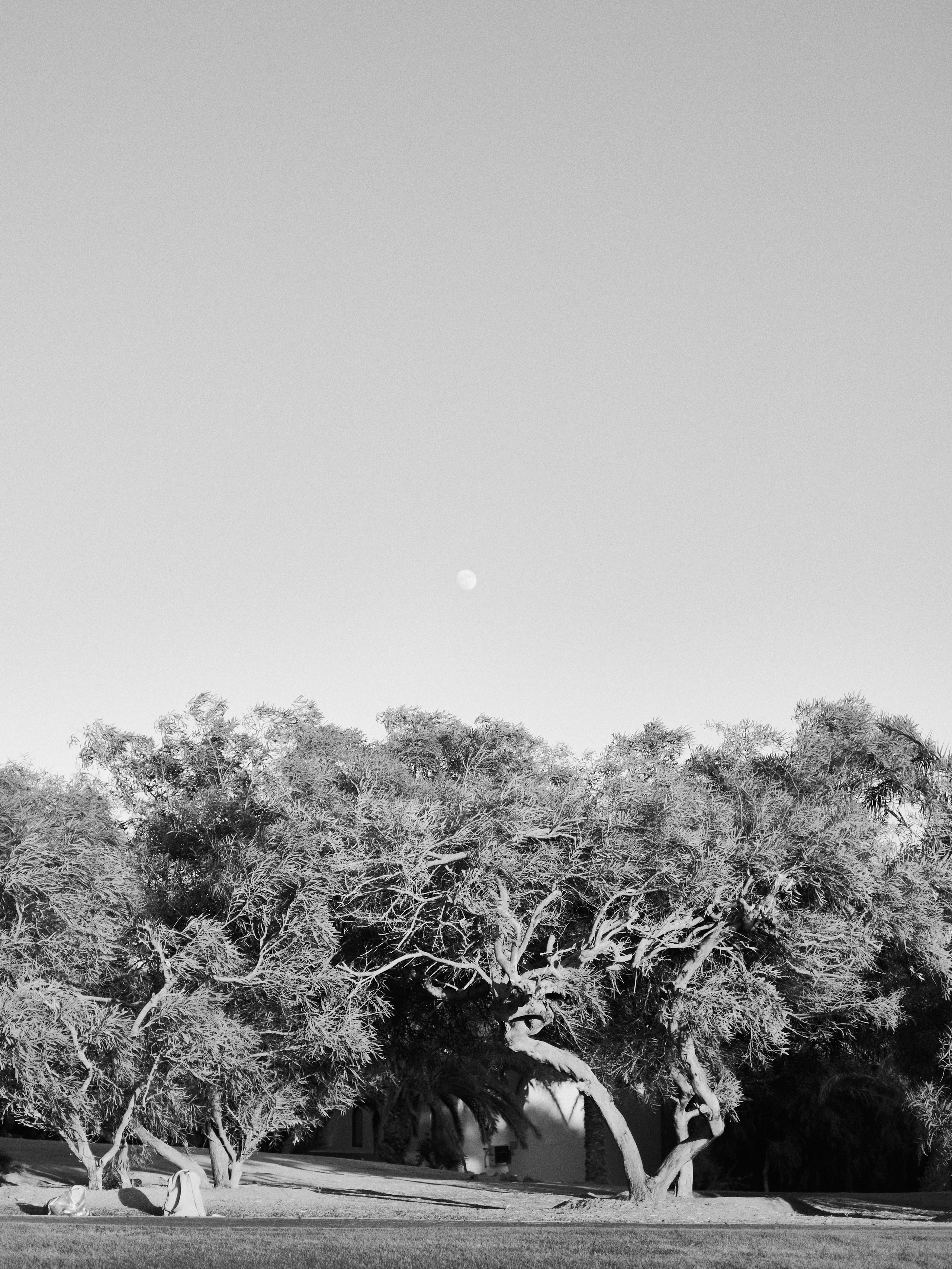 B&W. Jorgis — фотограф в Хургаде / обучение фотографии