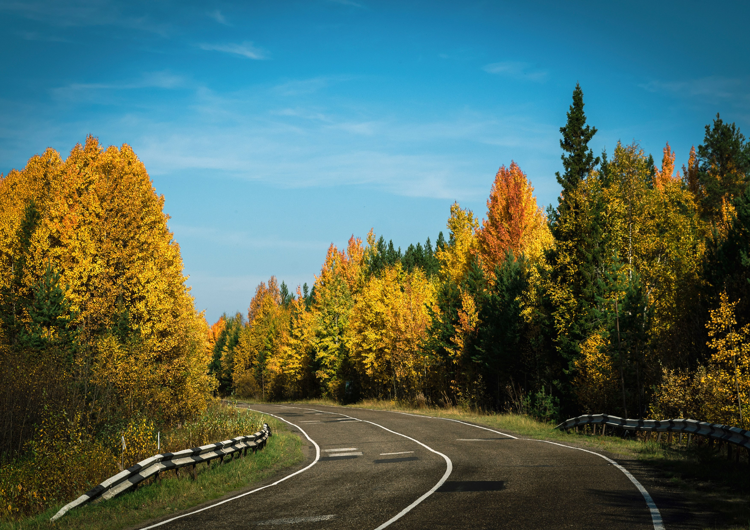 Осень. Фотограф в с. Ижма Республика Коми Терентьев Сергей