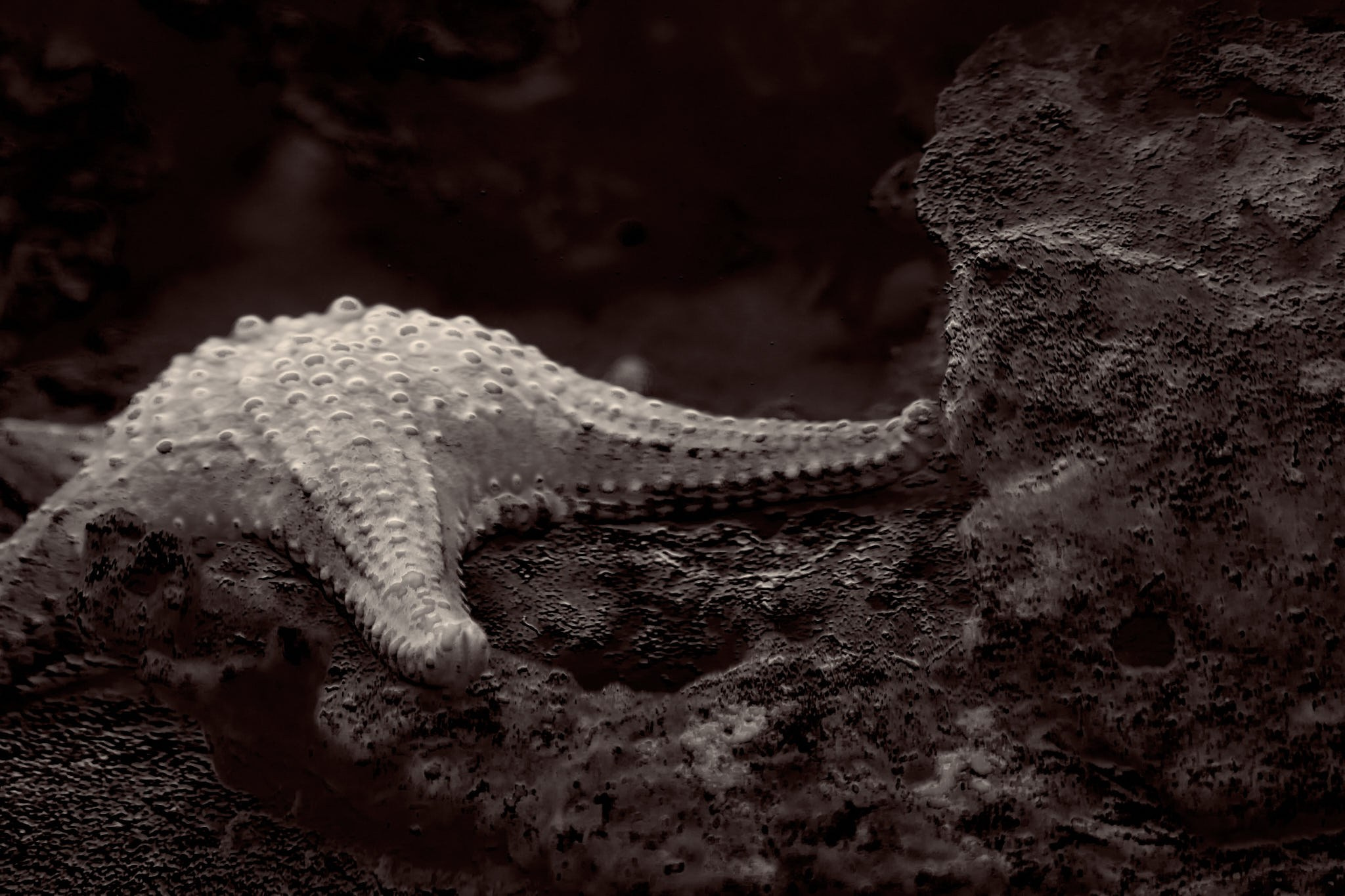 ZOO. ФОТОГРАФ ЕКАТЕРИНБУРГ