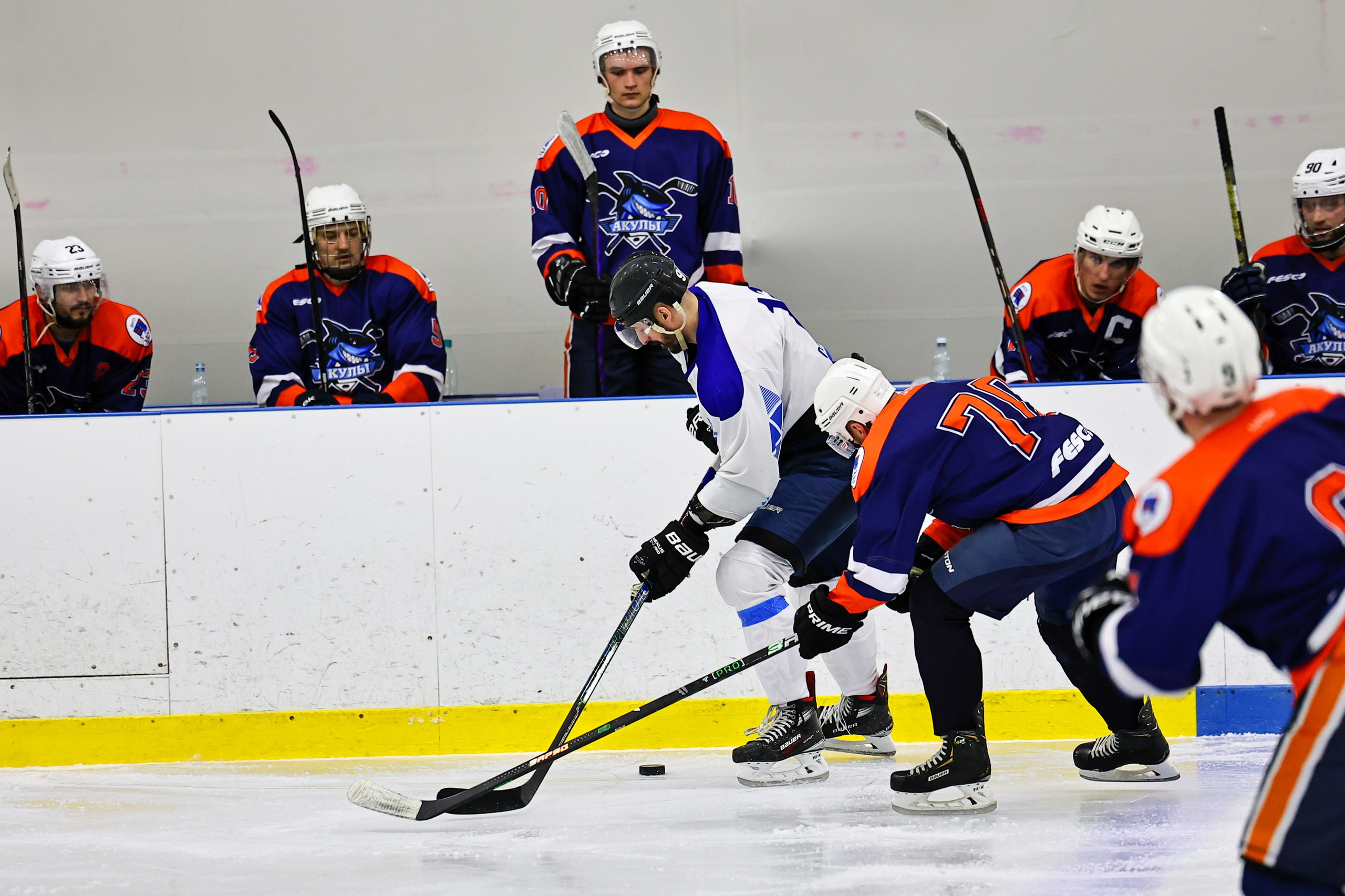 АТОМИАДА Зима 2026. Фототерапевт Ева Бунеева