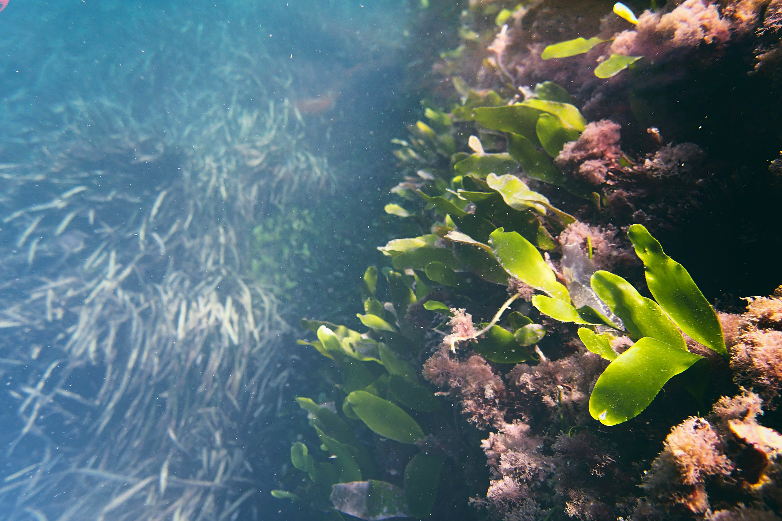 Испания. Свадебный фотограф Копков Геннадий