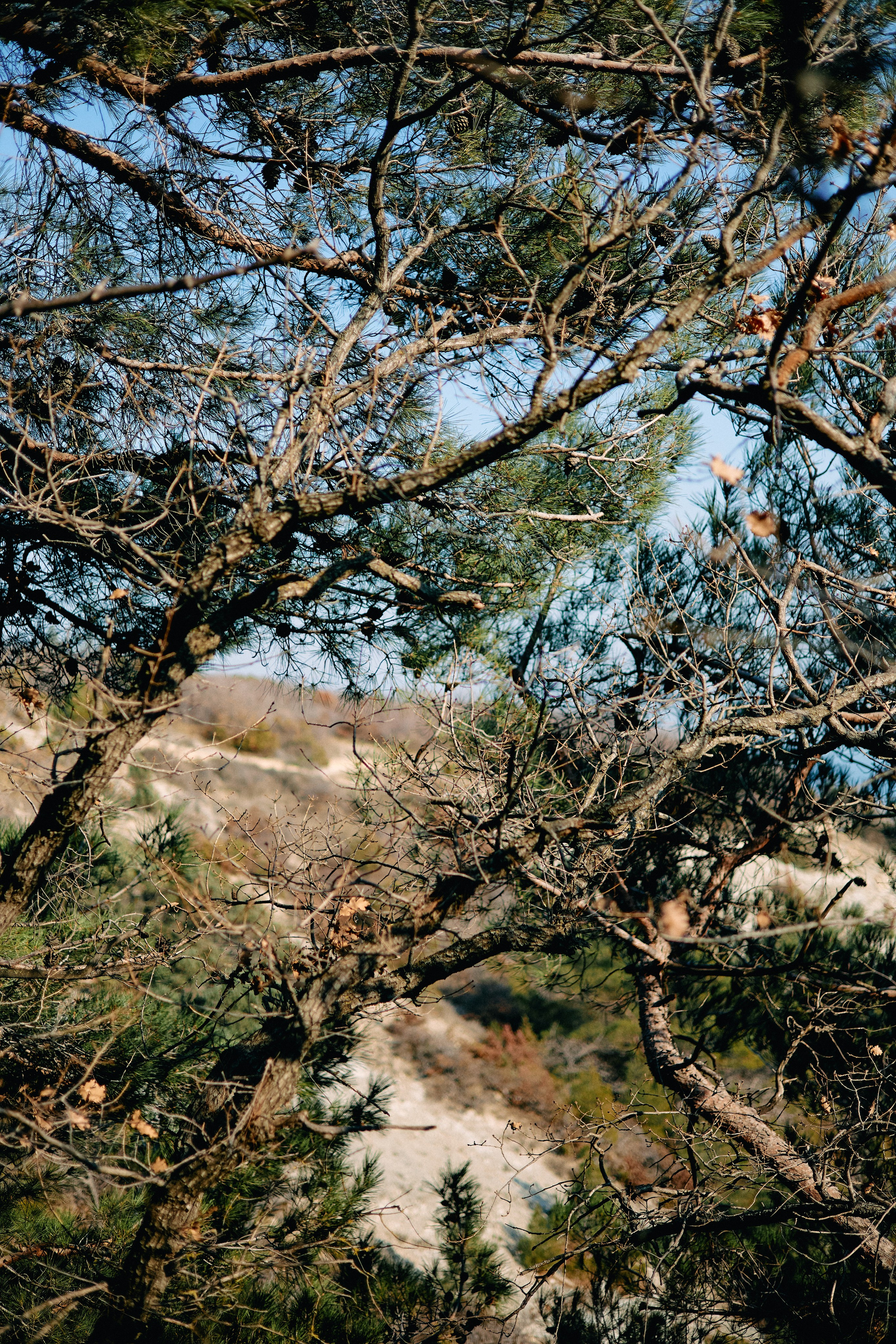 Юг России. Профессиональный Фотограф во Владимире, в Москве и в Суздале — Полина Романычева