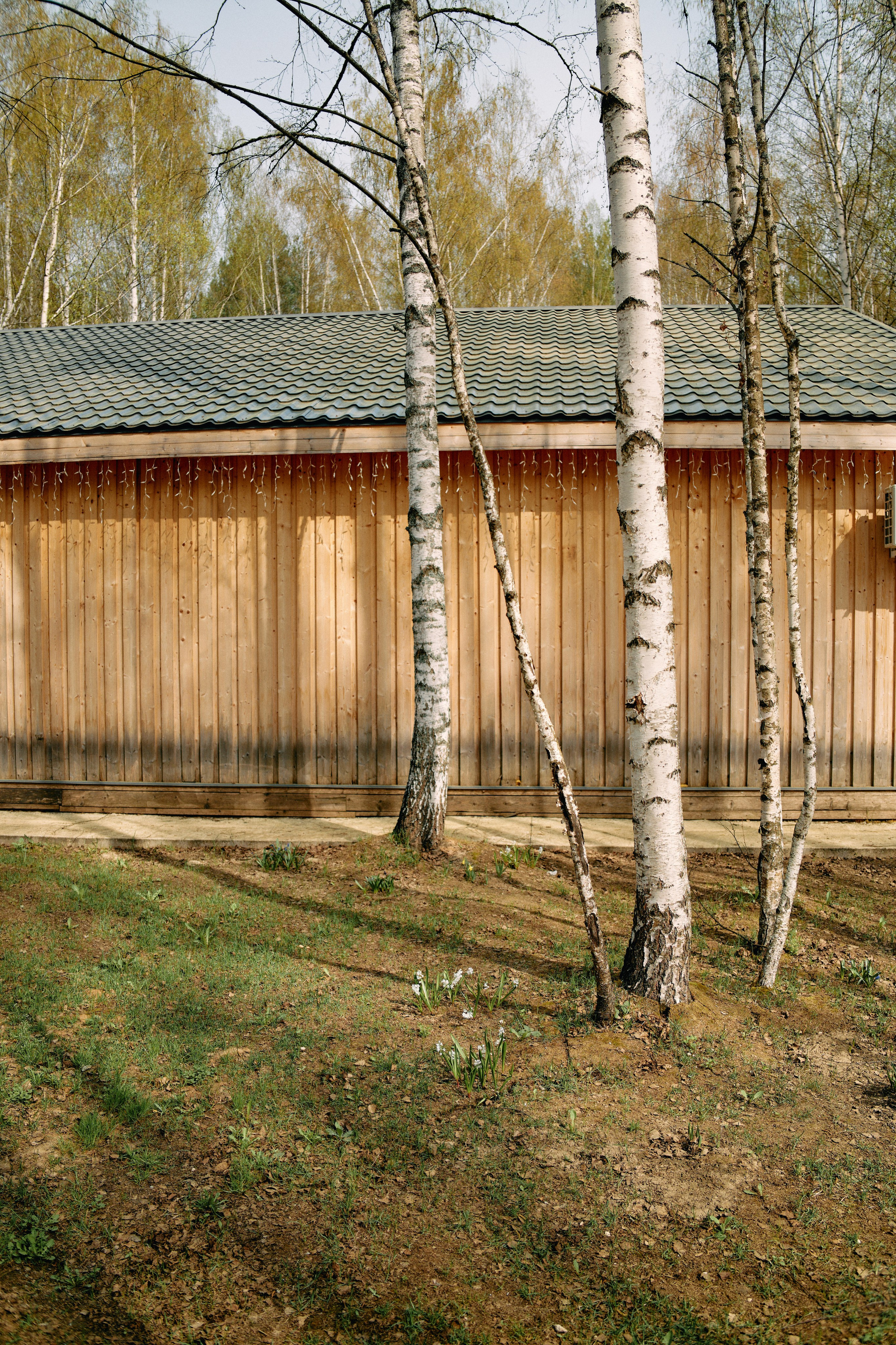 Бутик-отель Поле летом. Профессиональный Фотограф во Владимире, в Москве и в Суздале — Полина Романычева