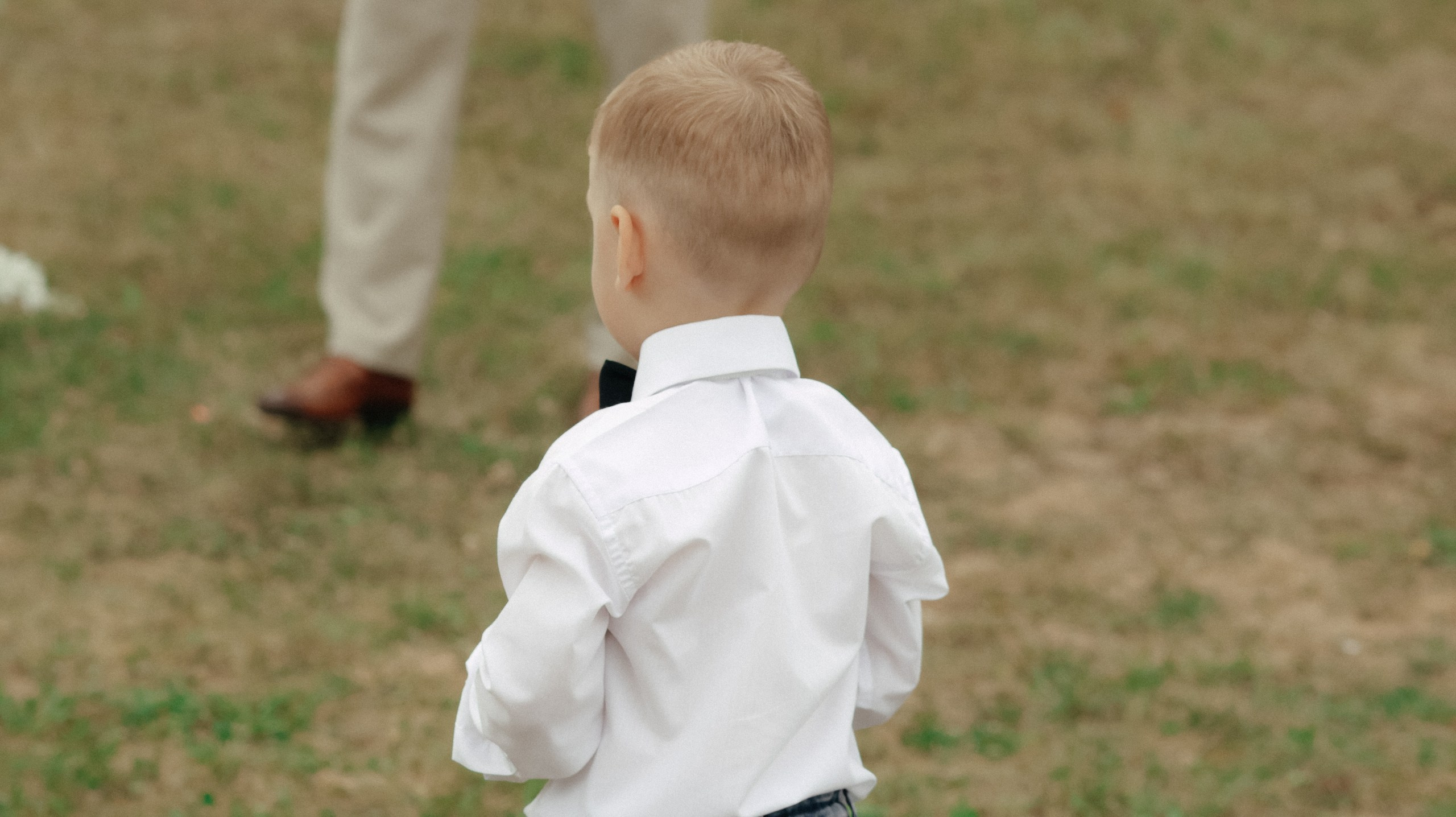 Торжество в Алексеевке. Свадебный и репортажный фотограф Дмитрий Кононенко