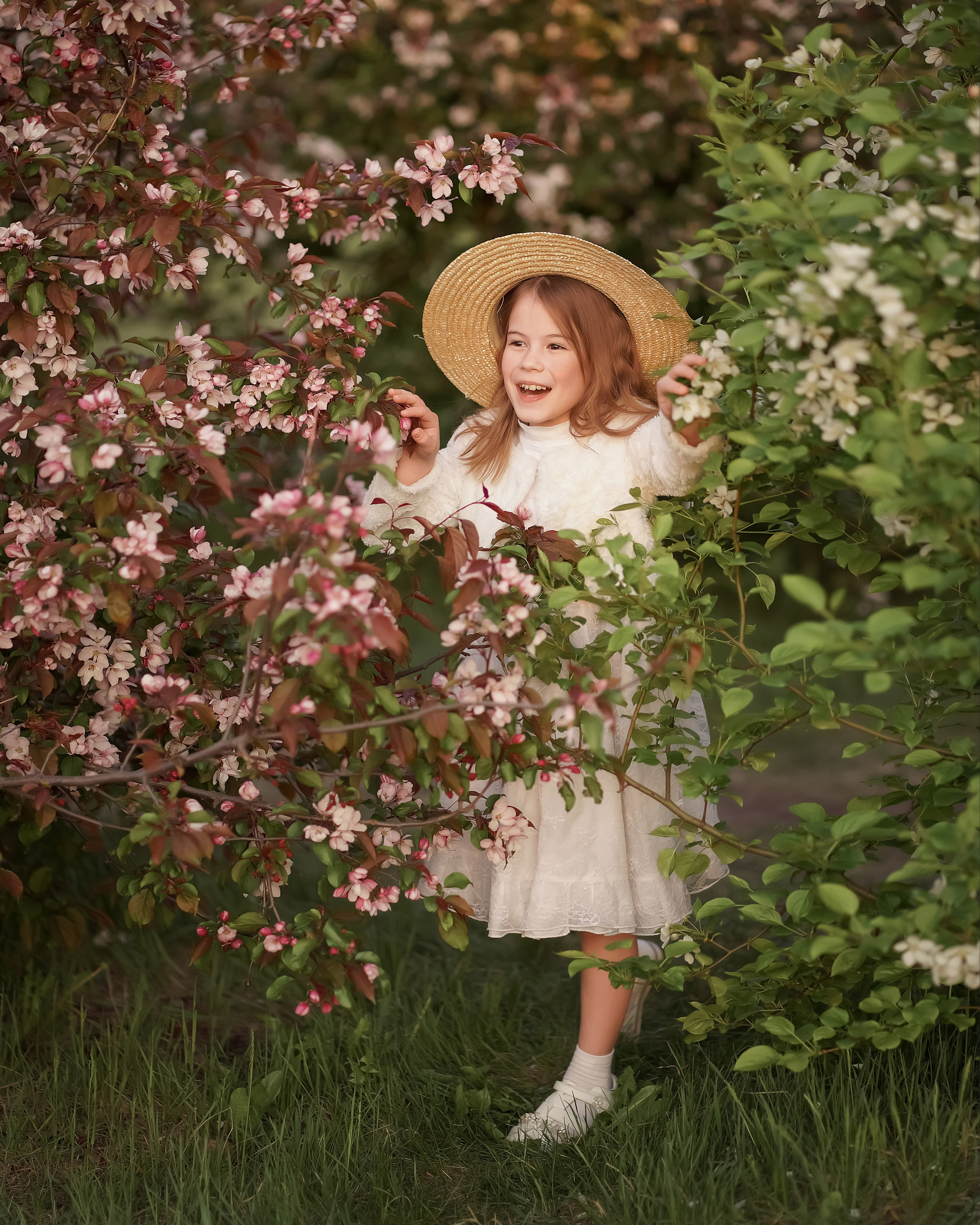 Цветение. Фотограф Татьяна Митрофанова