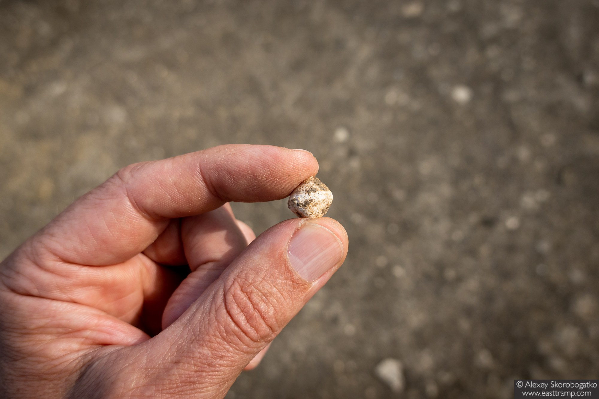 Археологические раскопки некрополя Кыз-Аул в Крыму. Фотограф Алексей Скоробогатько