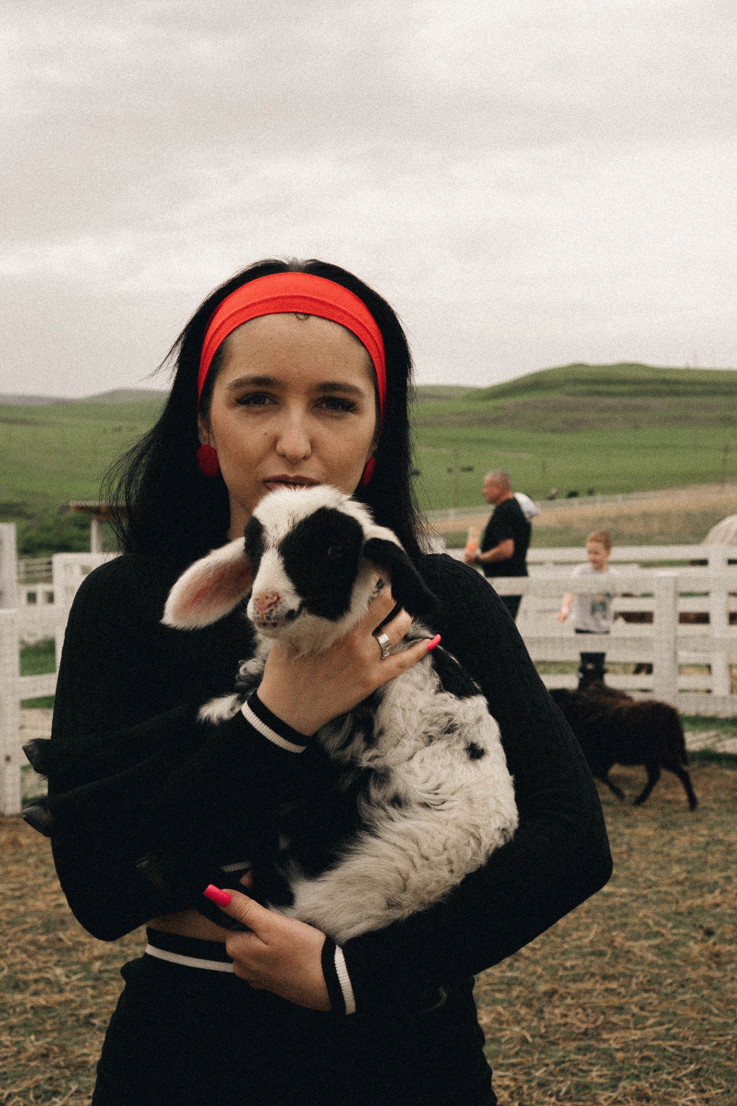 Ферма Альпак. Профессиональный фотограф, Санкт-Петербург — Виктория Богомолова