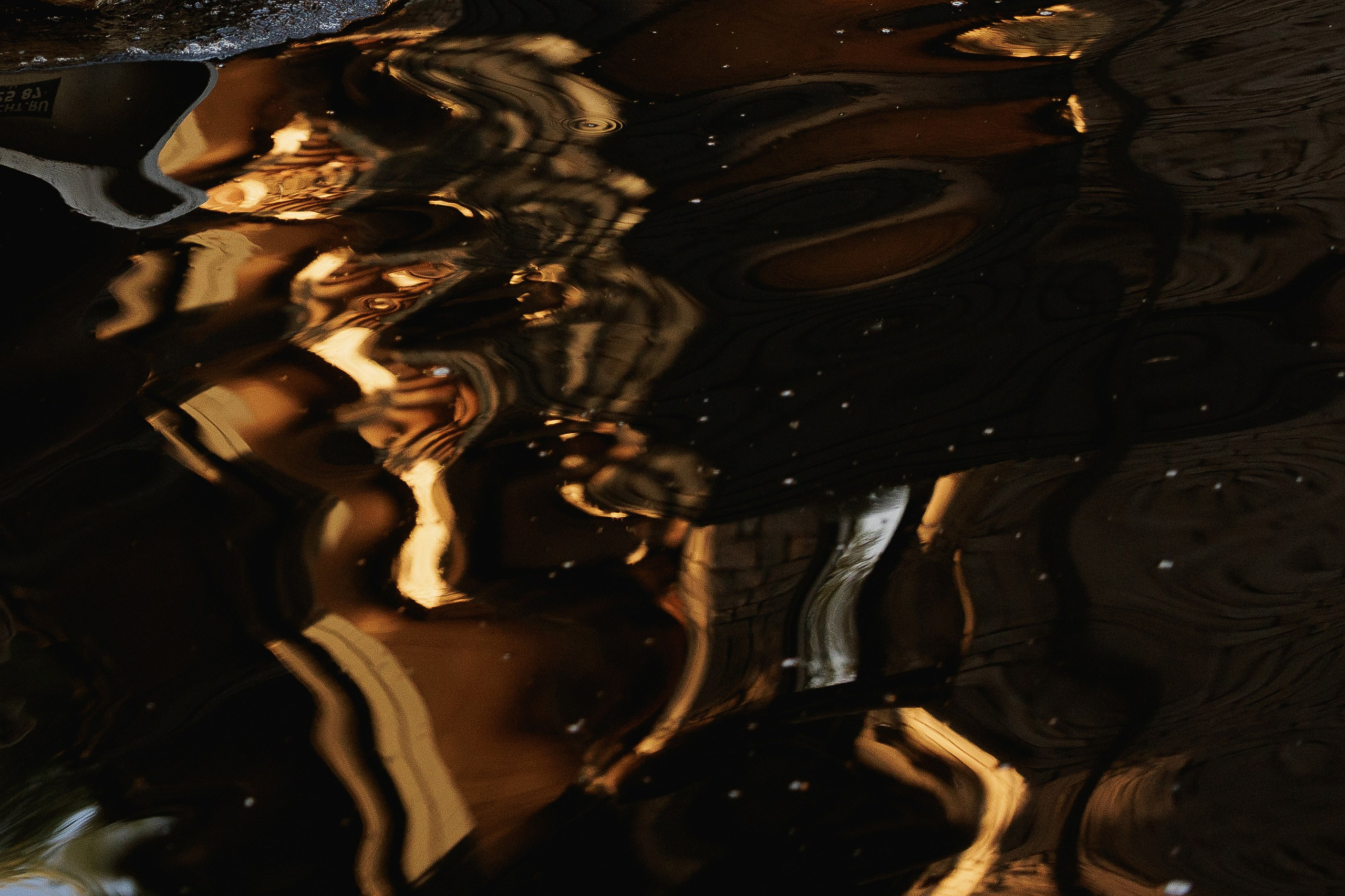 Данил и Алина. Фотограф Андреева Алёна