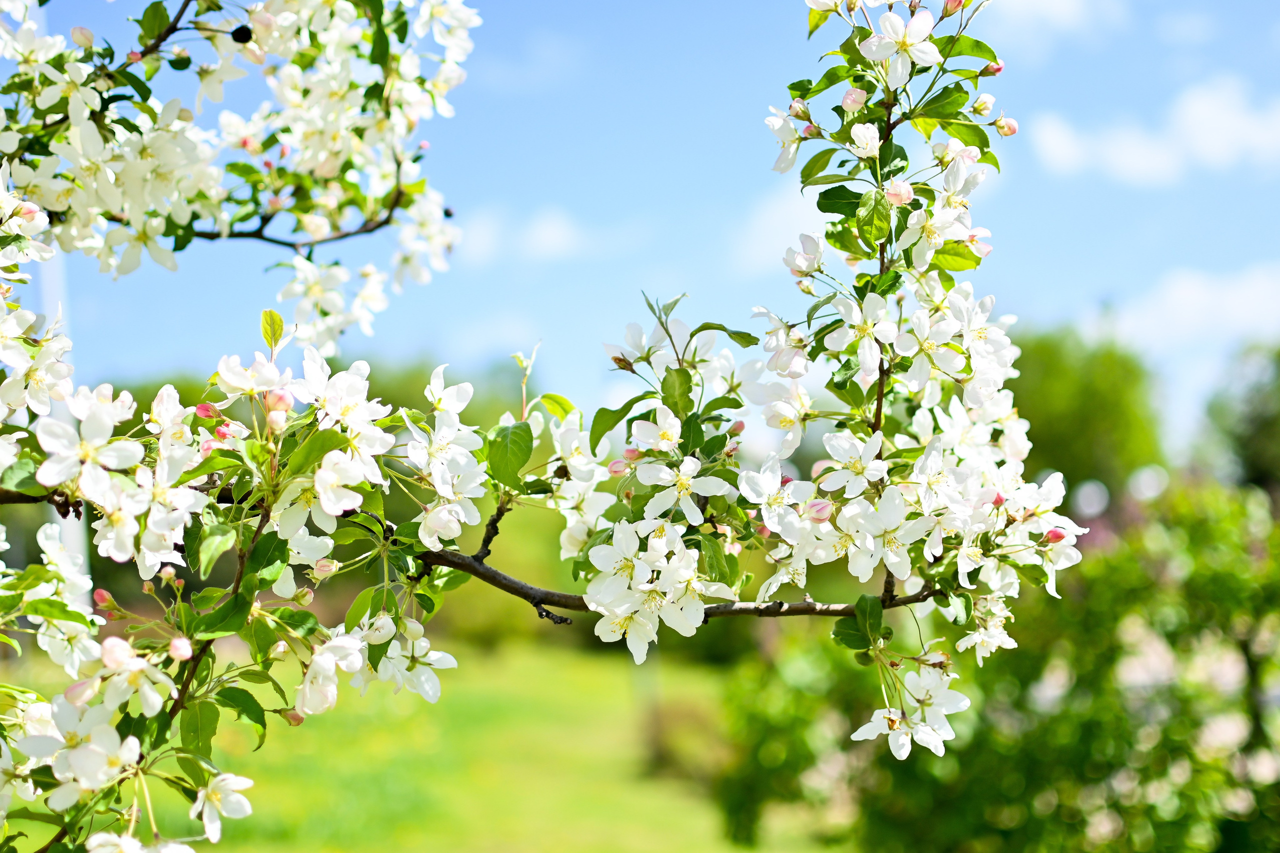 Долголетие.Люберцы. Фотограф для бизнесконтента, репортажей и семейного альбома в Москве