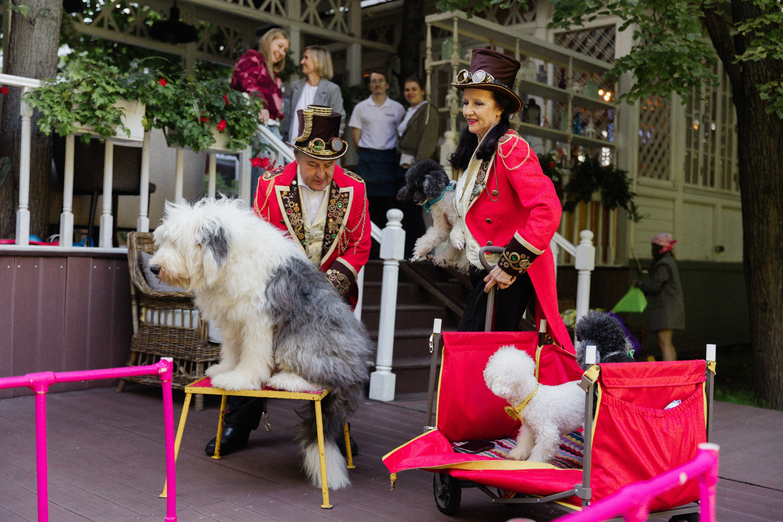 День Рождения Стефы. Татьяна Фомичева. Репортажный и светский фотограф в Москве