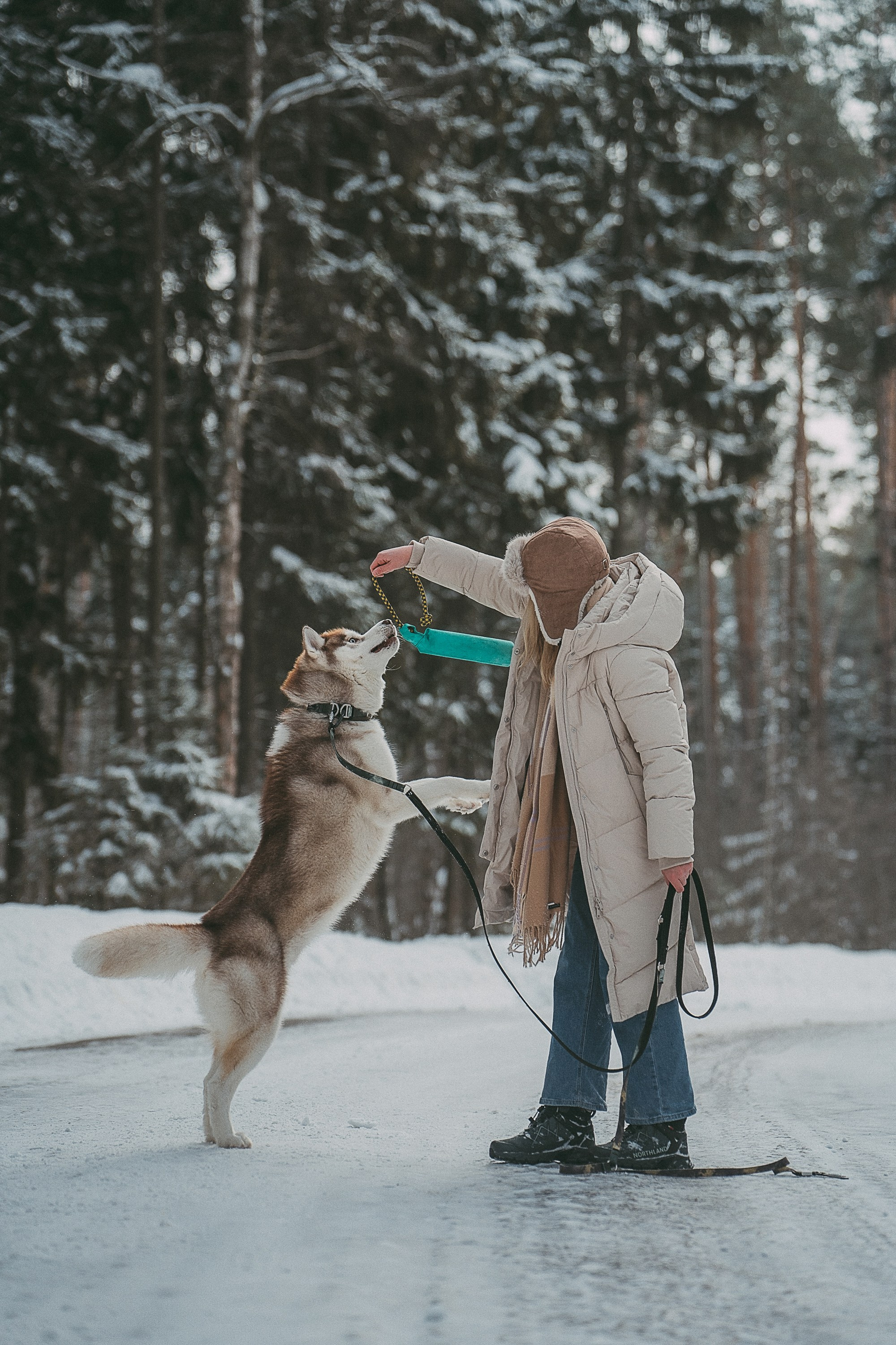 Полина, Уго и Пышка. Фотограф анималист в Москве и Санкт-Петербурге Свиридова Анна