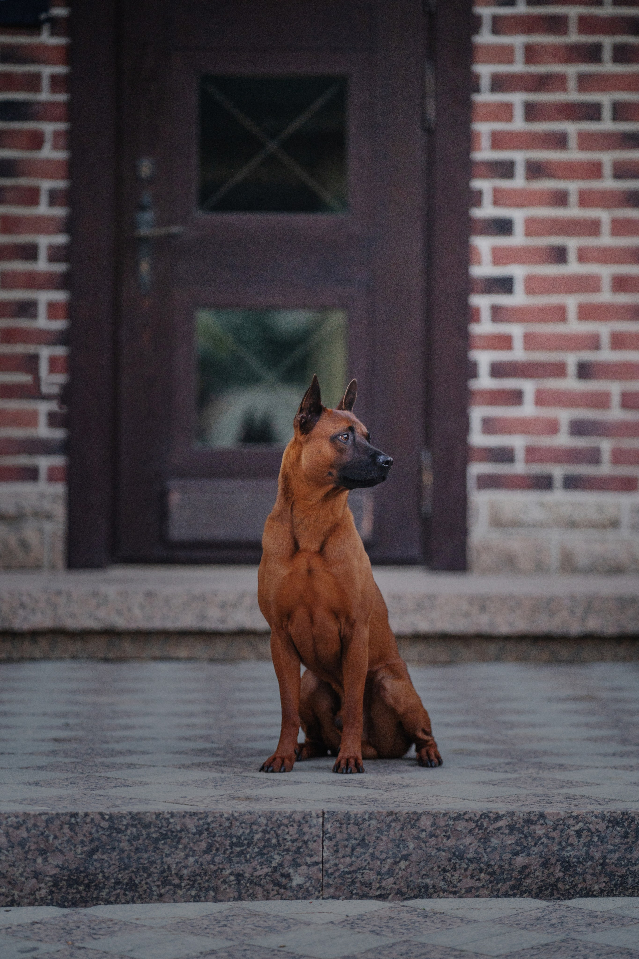 Лин + Вегас. Kameramotor74