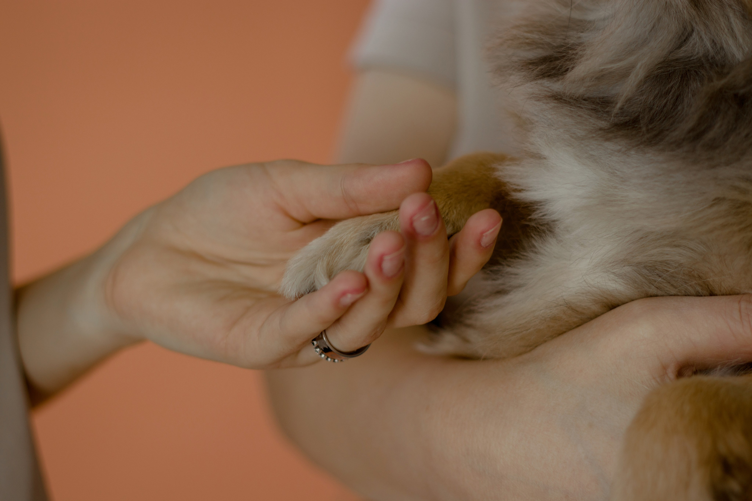 Анастасия|Ирина|Эми. Фотограф Краснодар Анастасия Епифанова