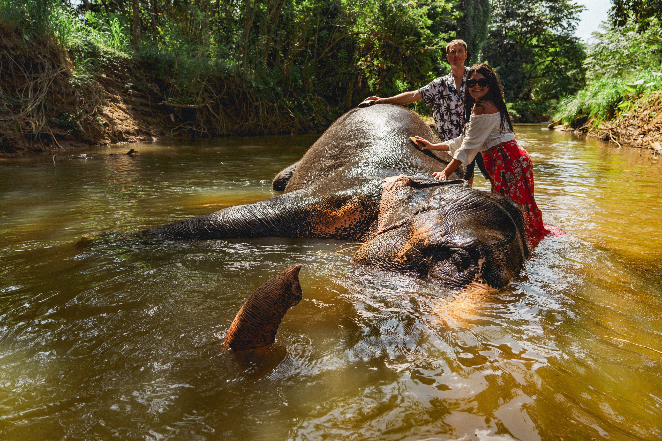 Bathing with elephants in Pinnawala, Botanical Garden