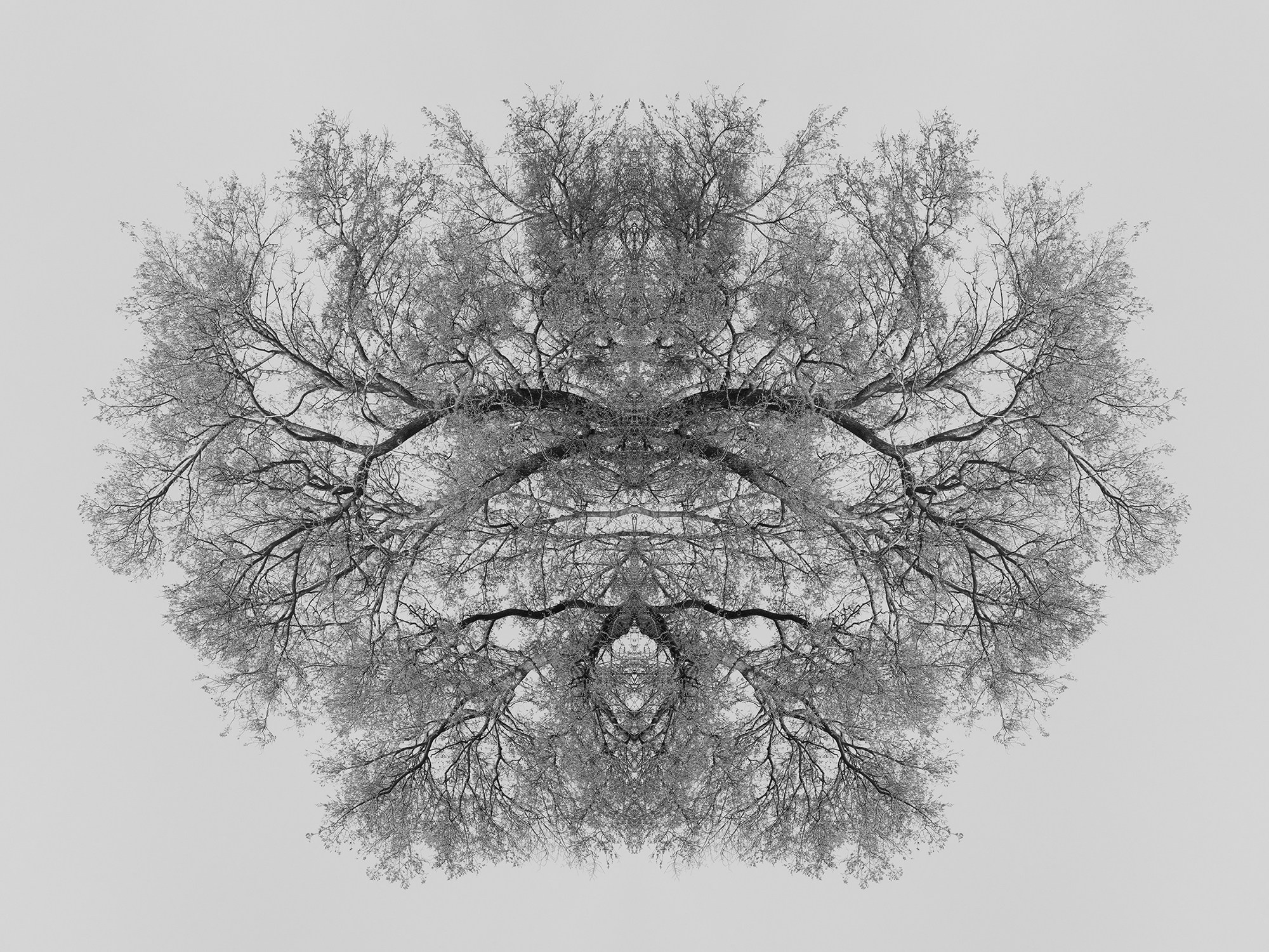 Острова. Анна Порошина — междисциплинарный художник