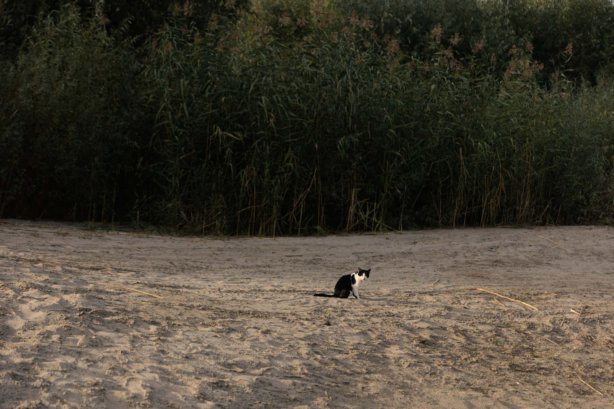 Рыбка моя. Свадебный фотограф и видеограф в Краснодаре | Алина и Евгений Кумановские