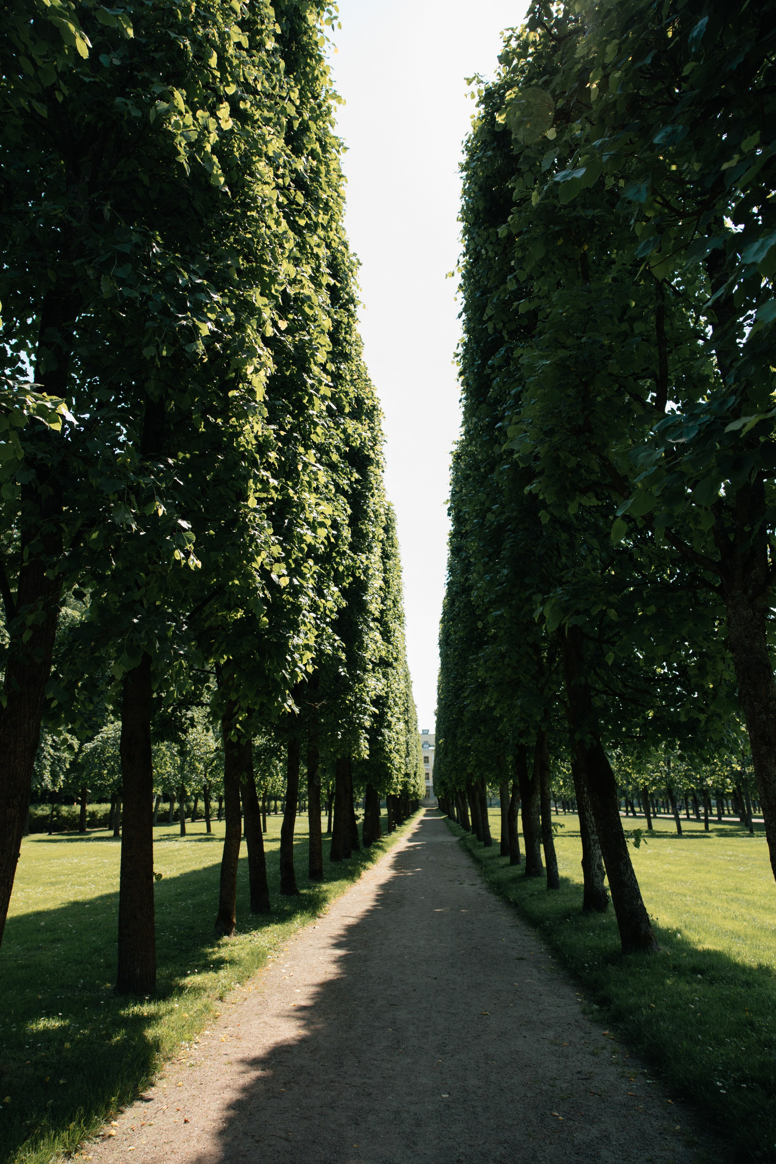 NIKITA & ANASTASIA. Свадебное ФОТО & ВИДЕО Москва/Липецк