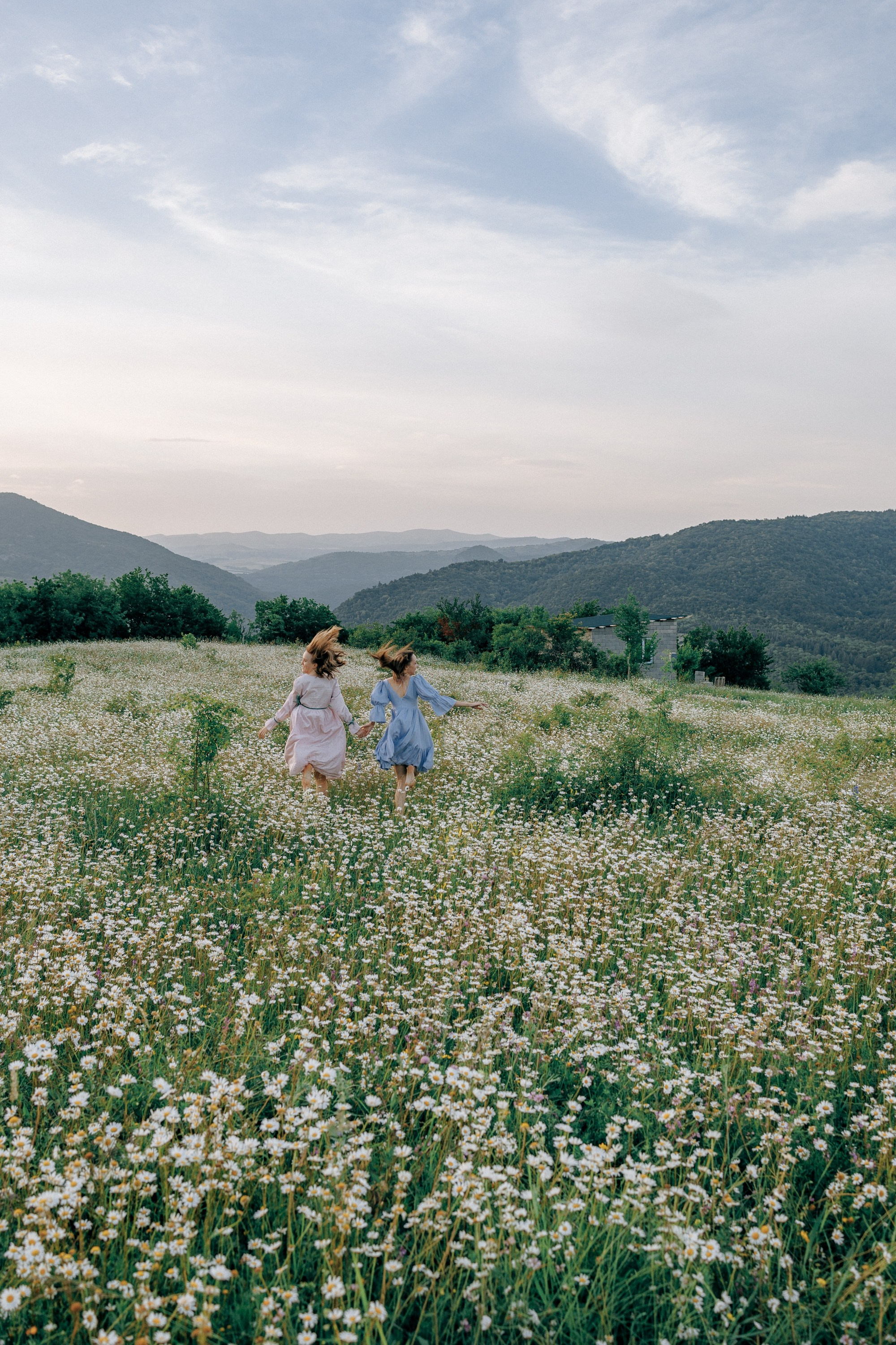 Picnic in the chamomile field in Georgia. Fedor Lemeshko — Destination Wedding and Family Lifestyle photographer