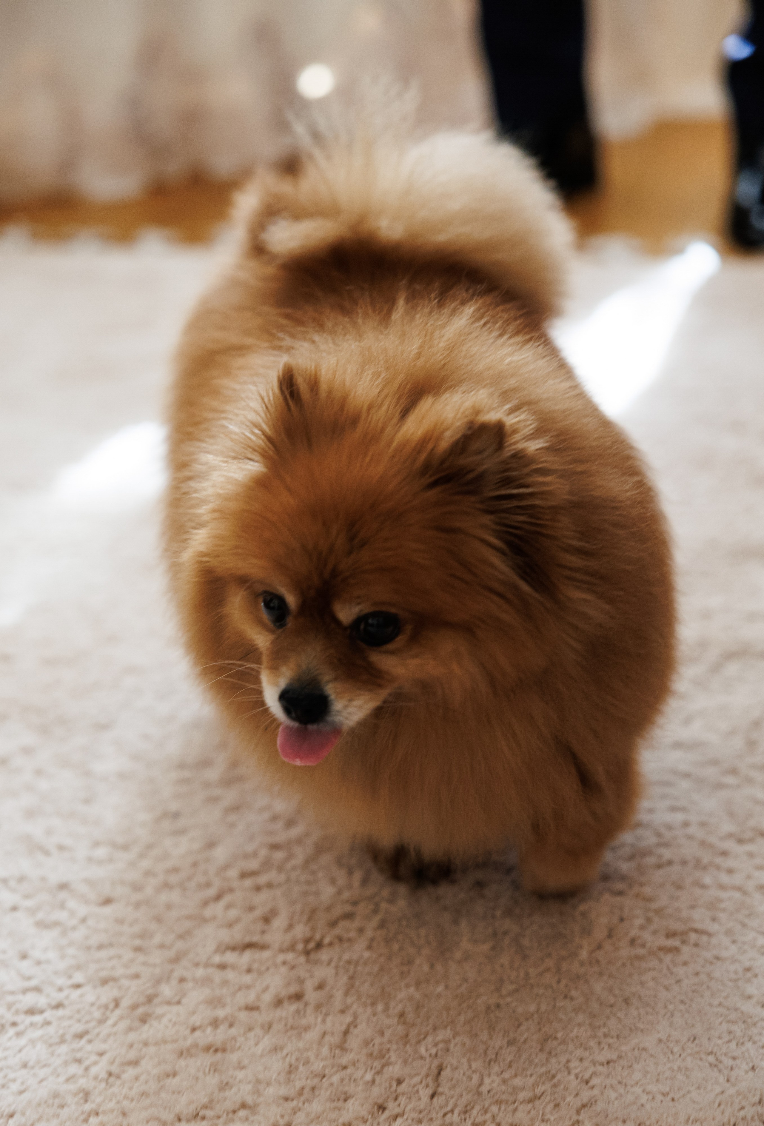 Георгий & Нино. RETOUCH-HOUSE