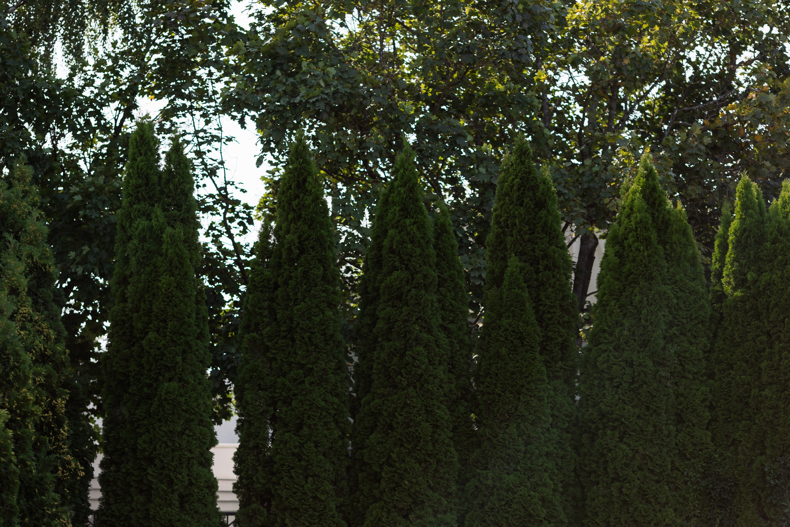 Владислав & Дарья. RETOUCH-HOUSE