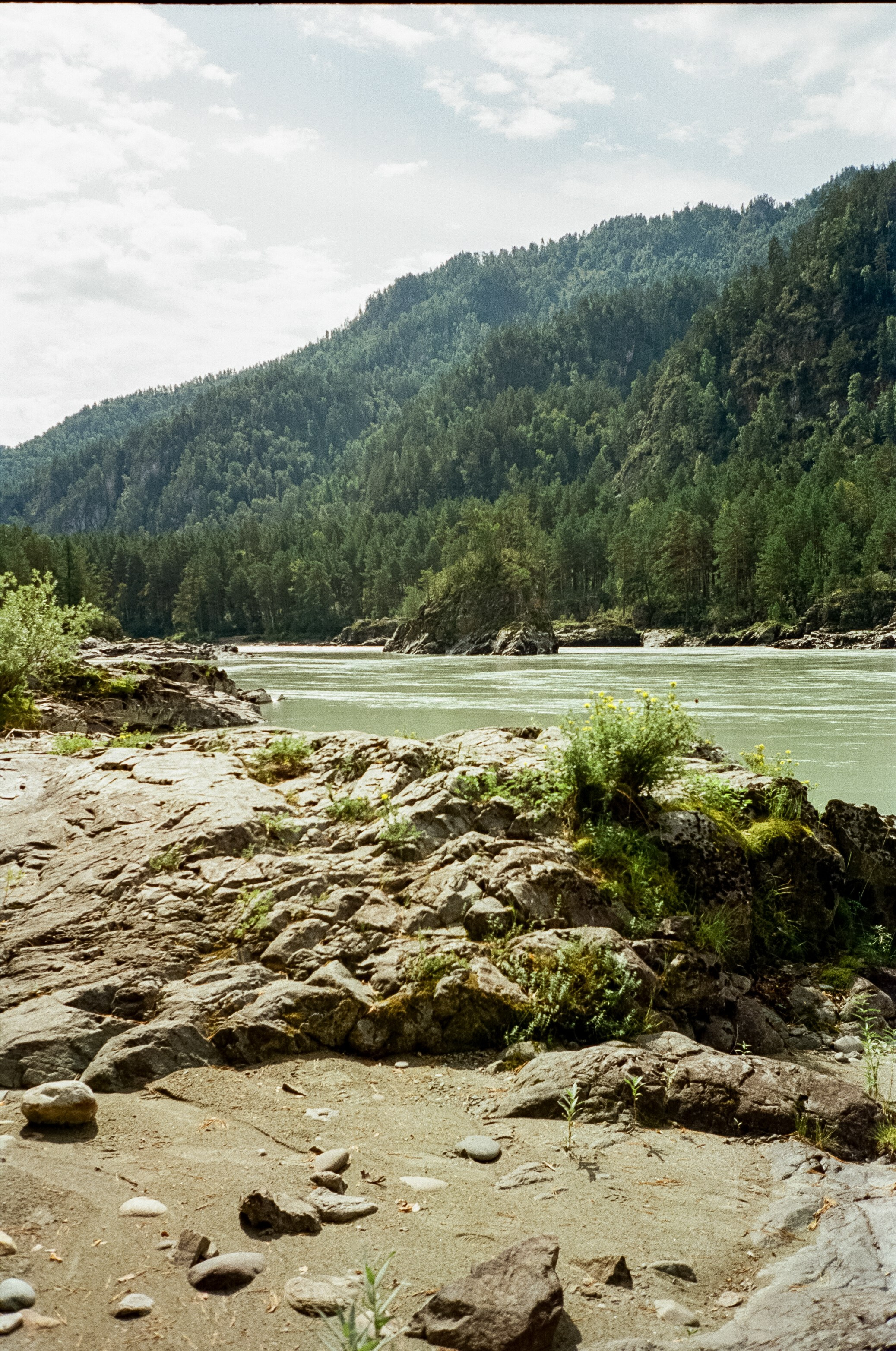 Кедровый остров, Катунь и скалы. Фотограф-документалист Мария Осокина
