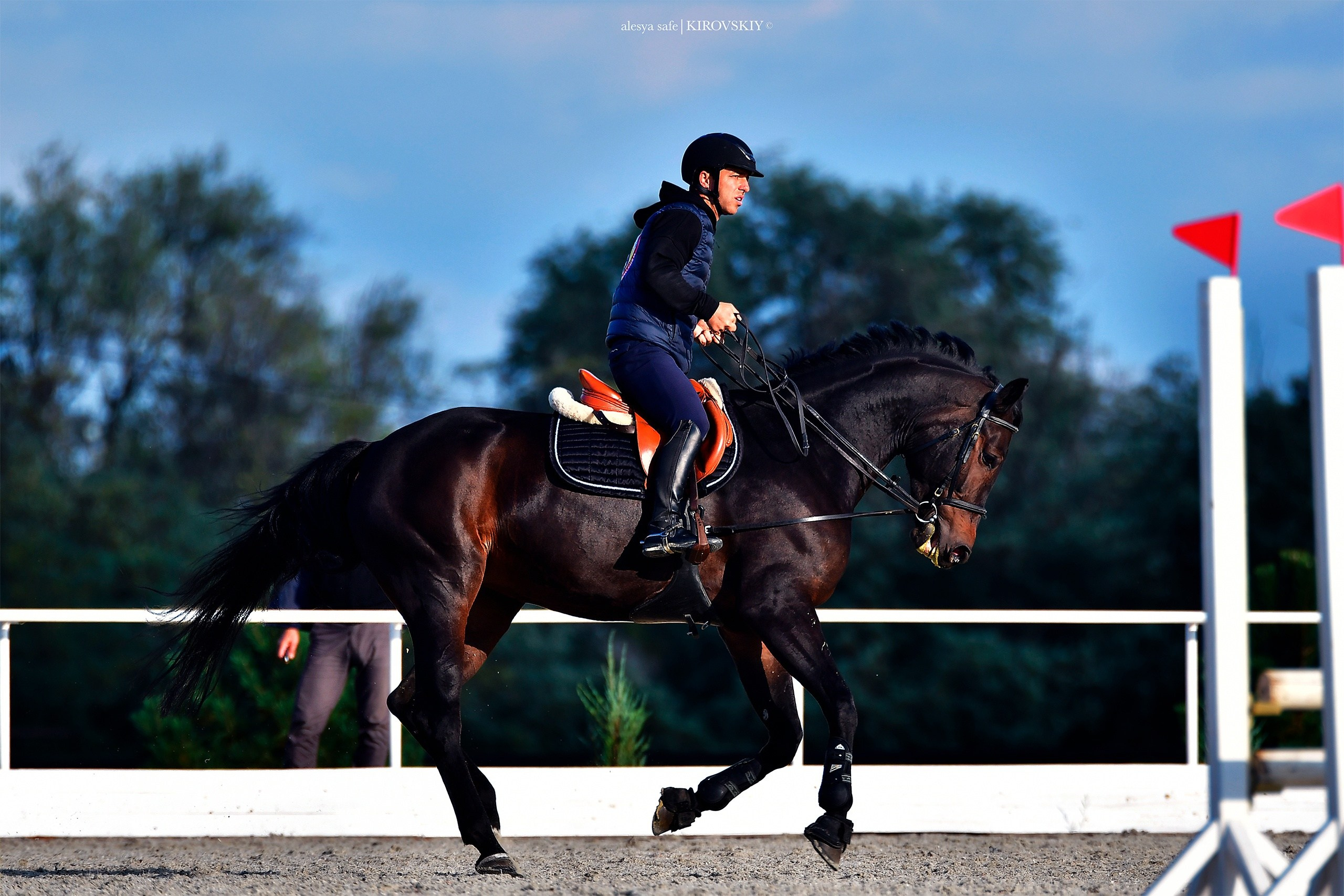 Кировский конный завод. Конный фотограф Alesya Safe