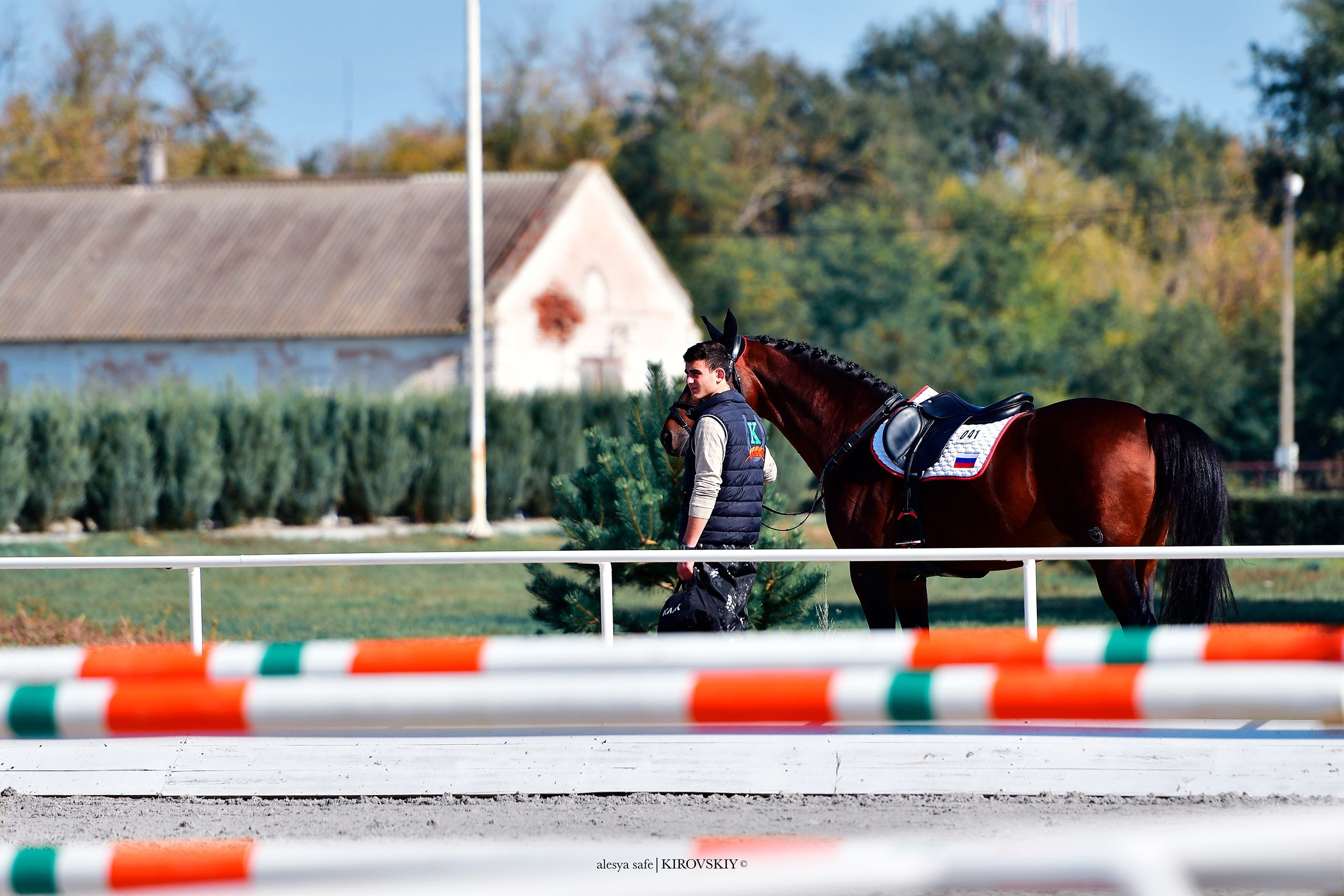Кировский конный завод. Конный фотограф Alesya Safe