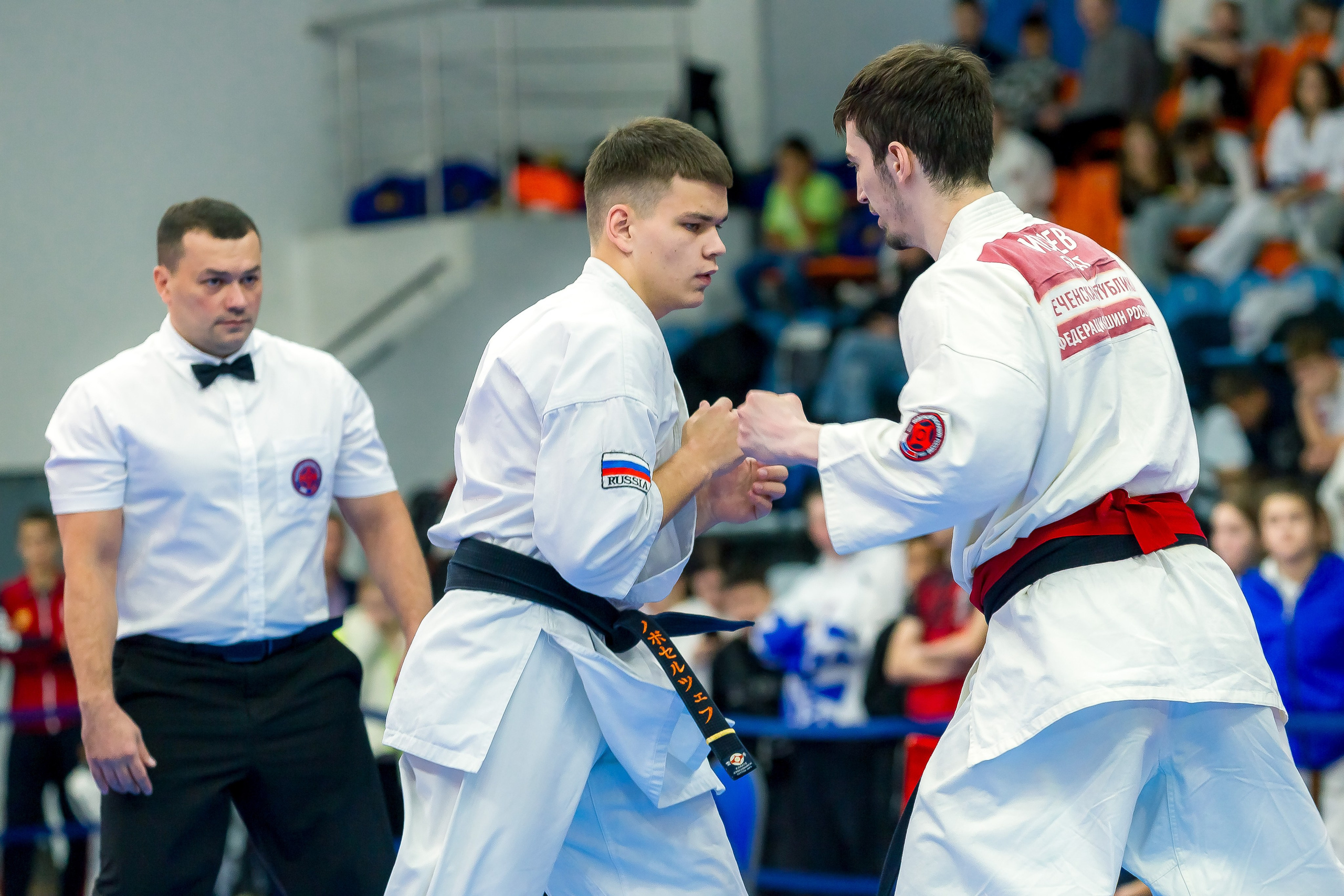 Соревнования по Киокушин памяти С. Увицкого. Репортажная съемка в Москве и области. Анималистика