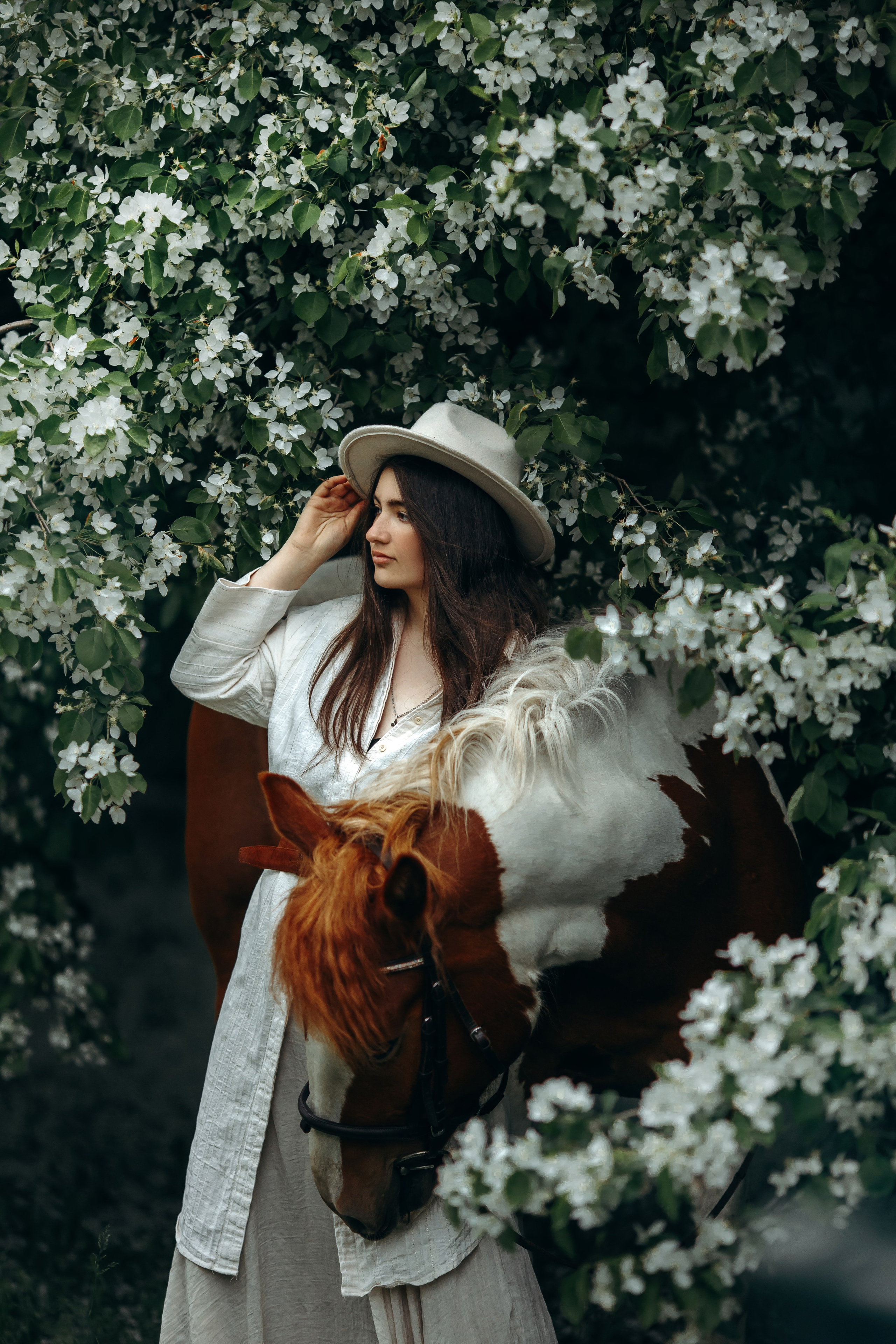 Весенние цветения. Анна Молчанова конный фотограф в Тюмени | фотосессии с лошадьми Тюмень