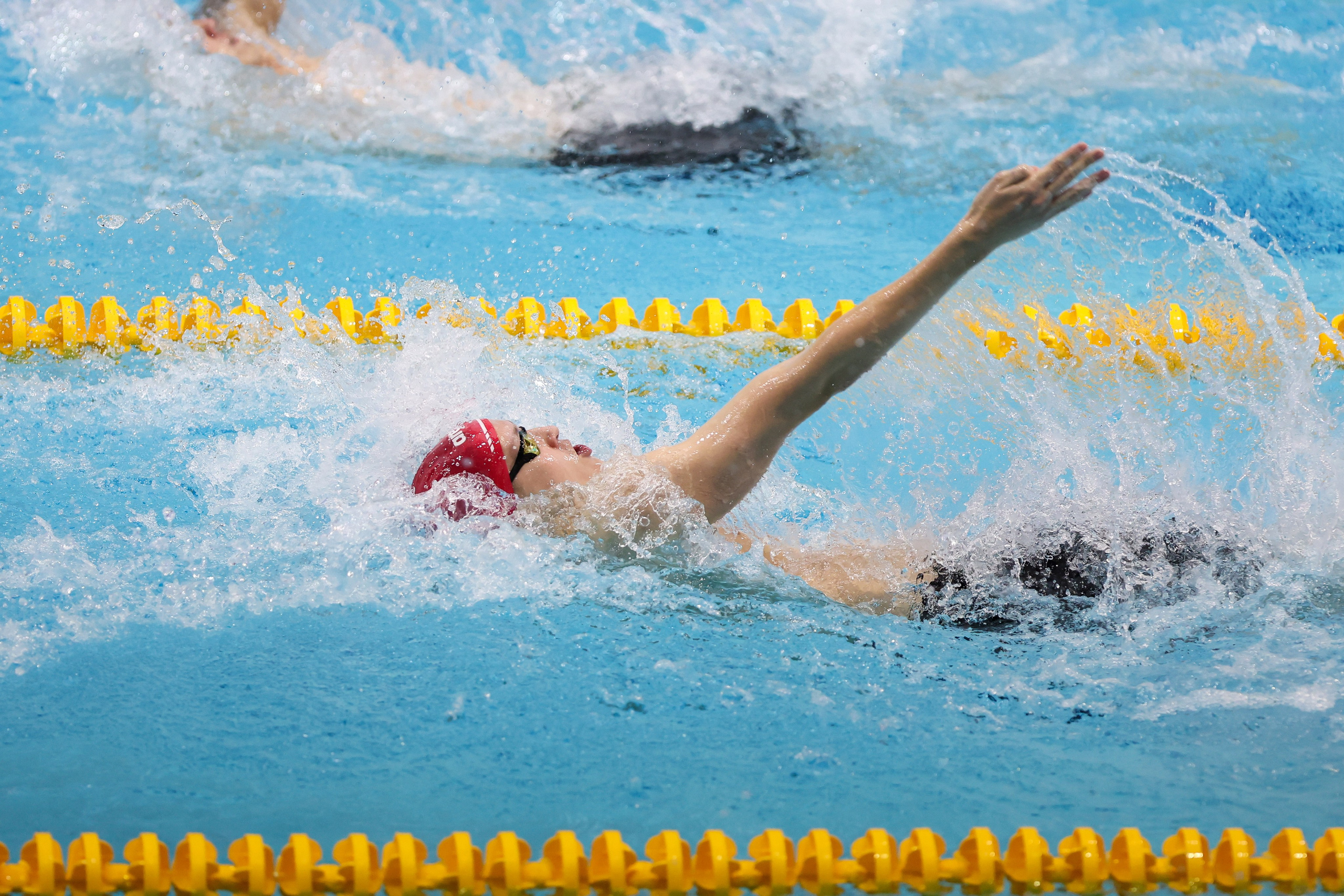 Чемпионат России по плаванию 25 м 20-25.11.2023. Спортивный и репортажный фотограф Антон Тереханов