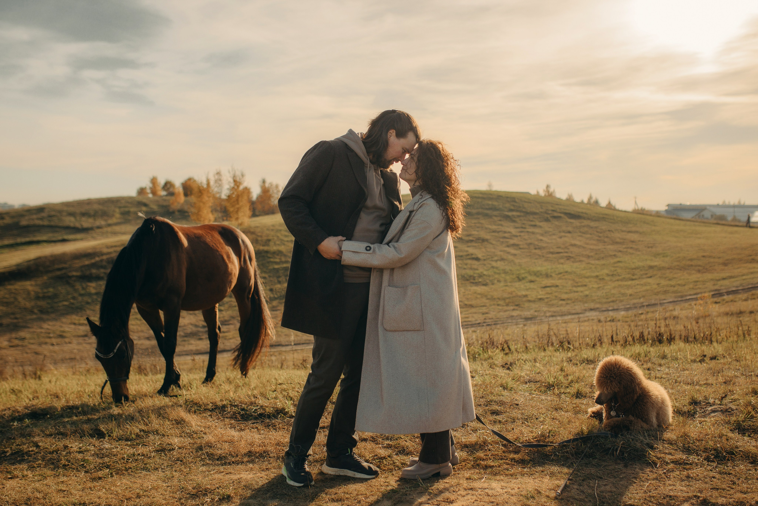 Наши пушистые дети. Главная