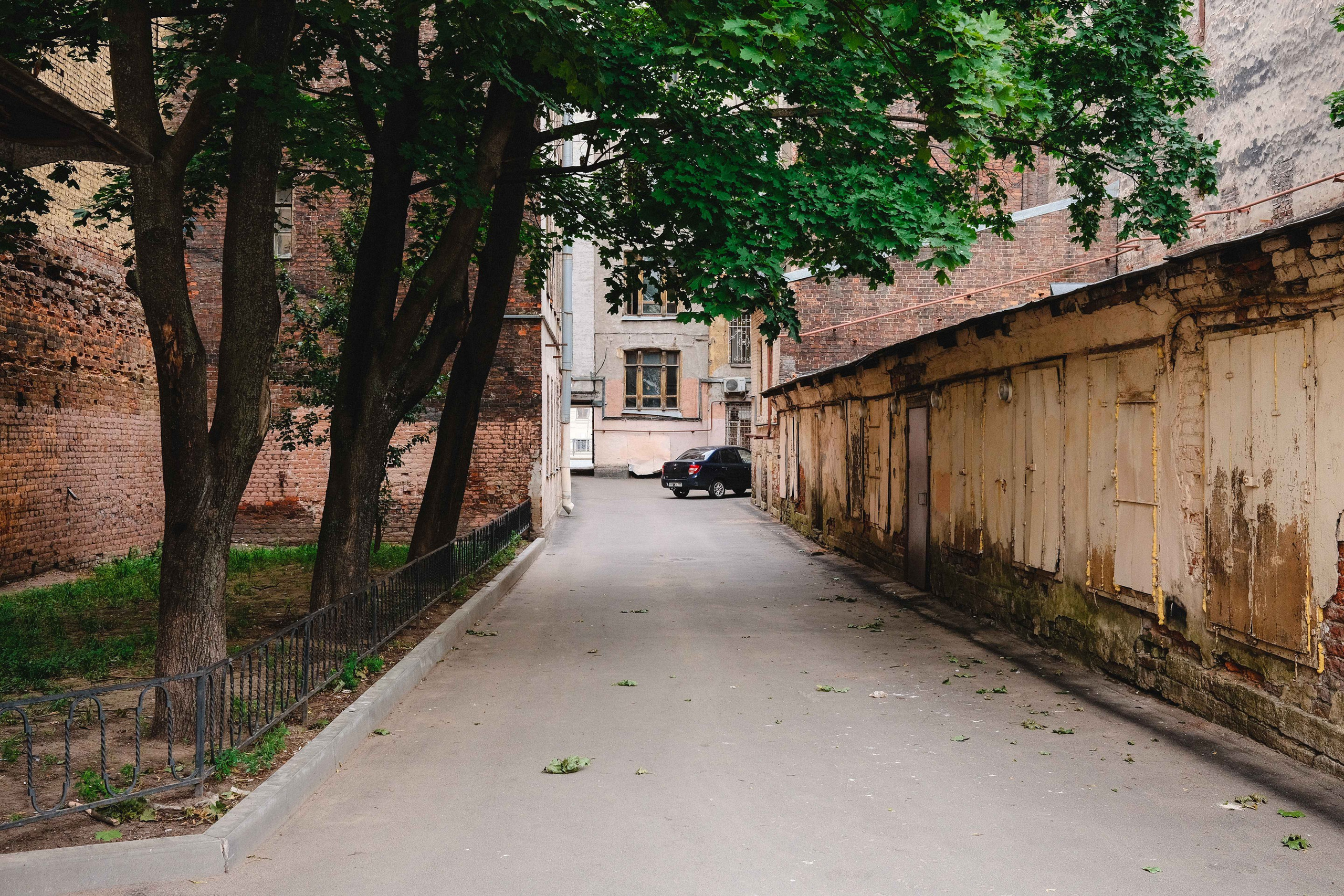 2023.07. Фотограф Алексей Алексеев