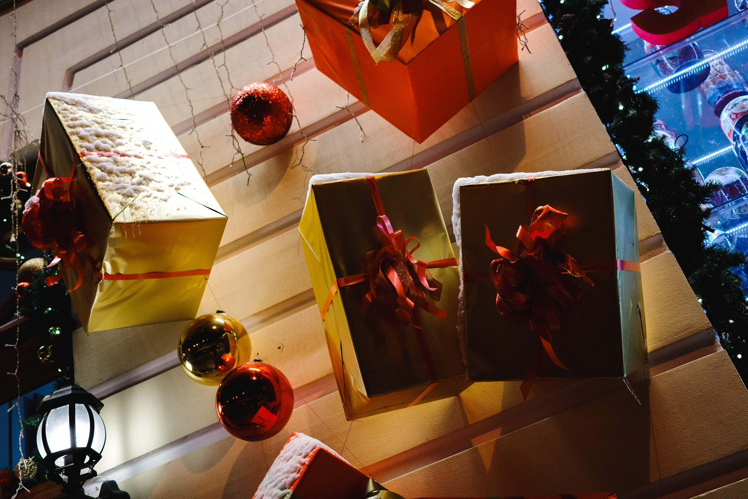 2024.12. Фотограф Алексей Алексеев