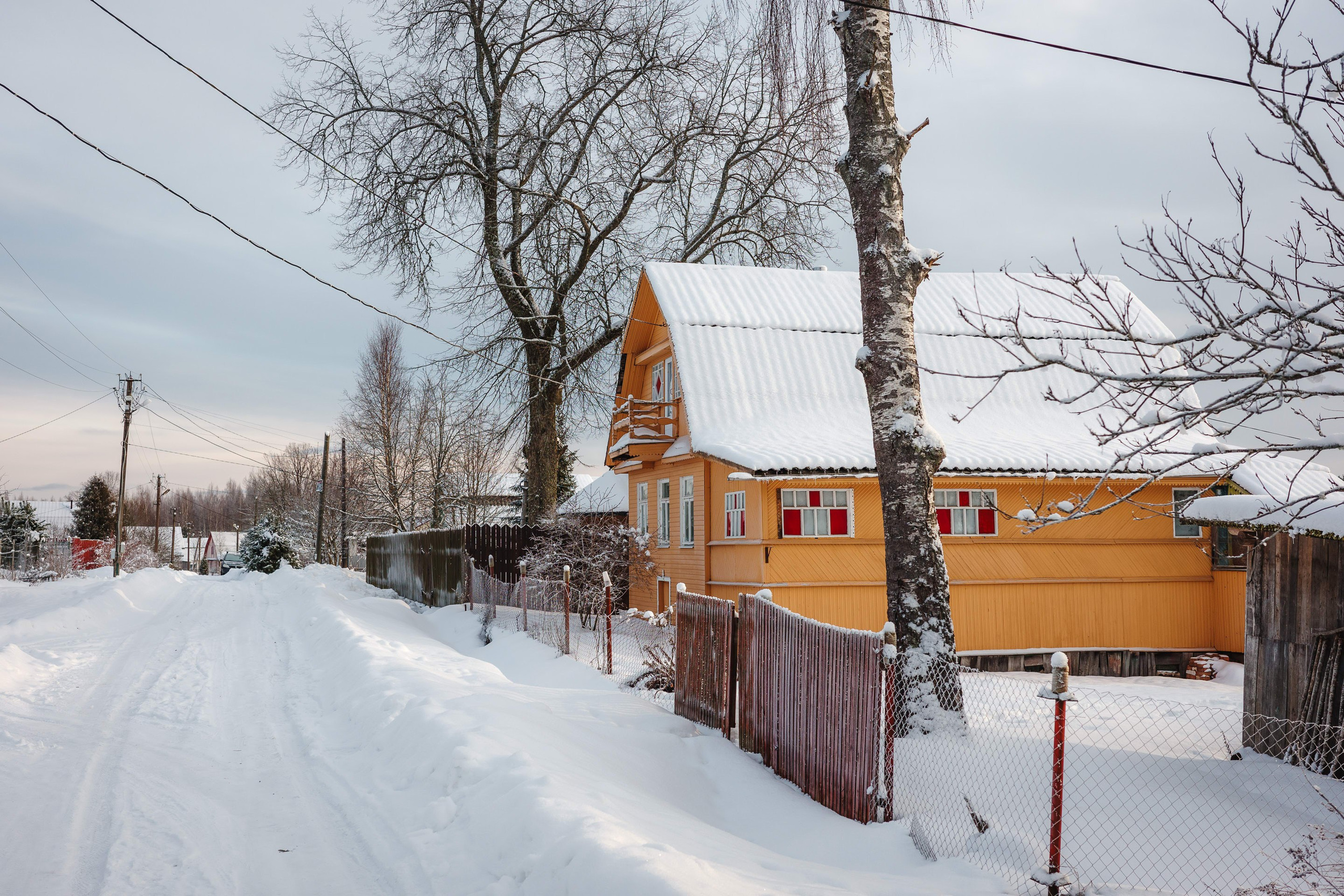 2024.01. Фотограф Алексей Алексеев