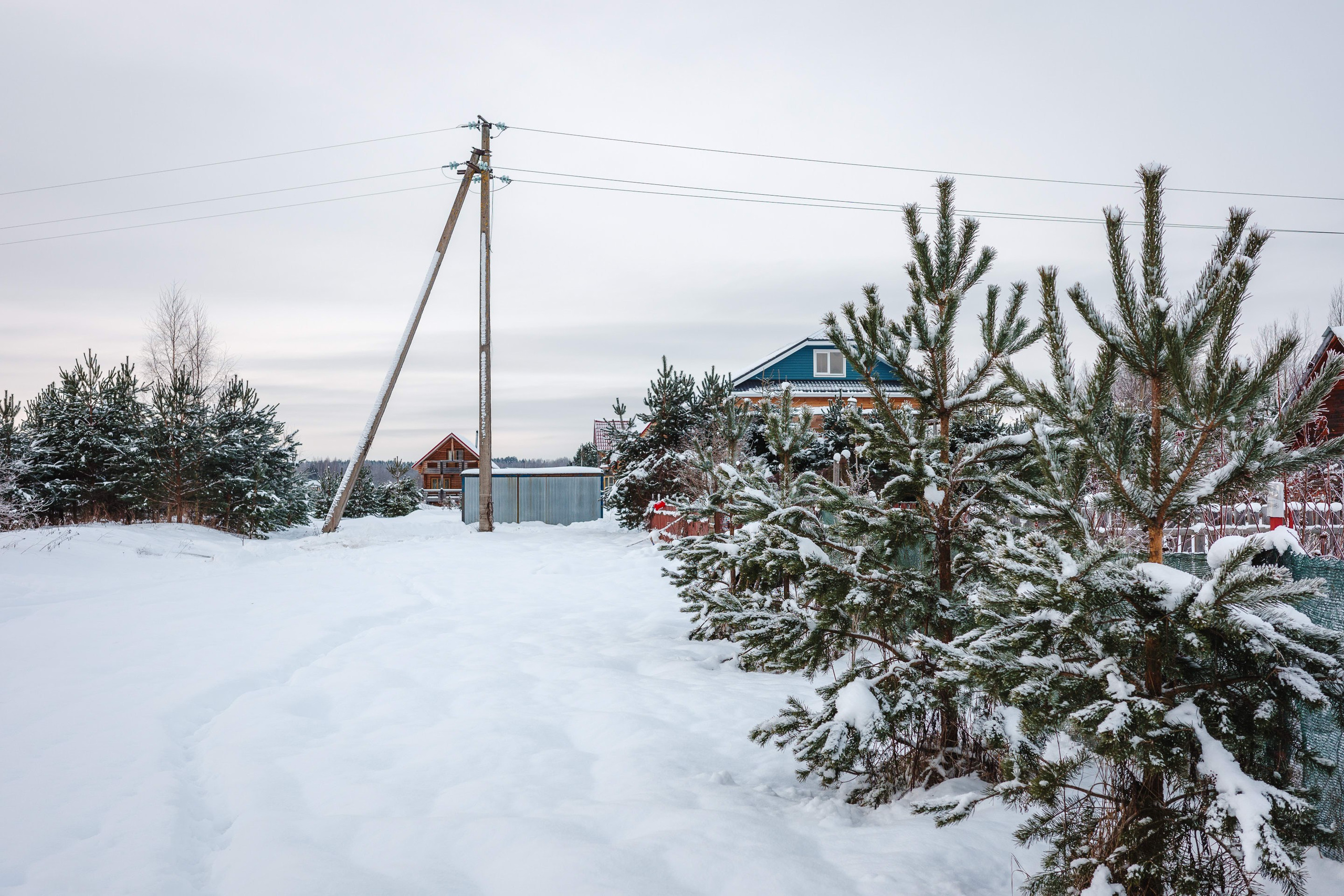 2024.01. Фотограф Алексей Алексеев