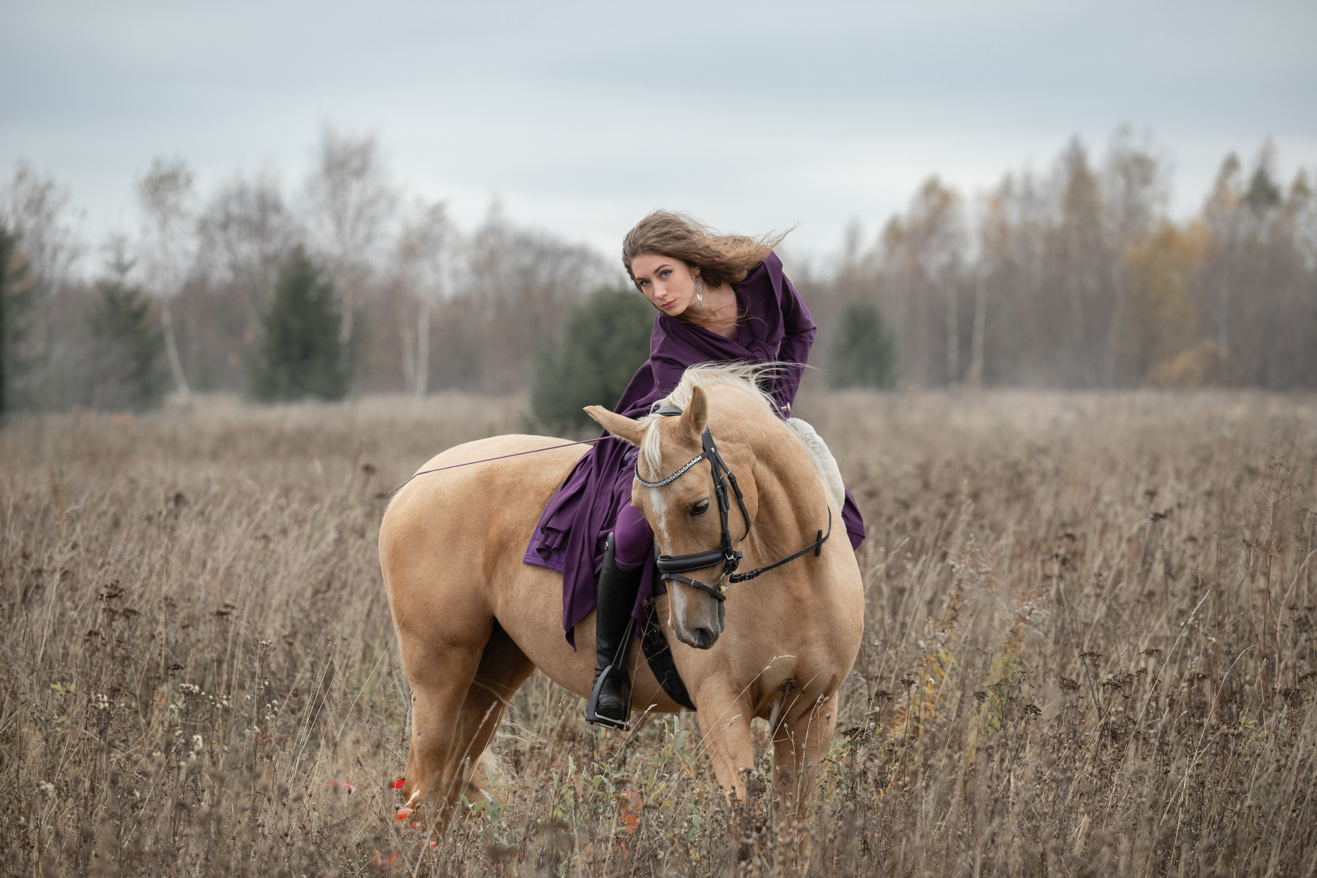 Фотосъёмка лошадей. Семейный и анималист фотограф в Переславле Анастасия Гусева
